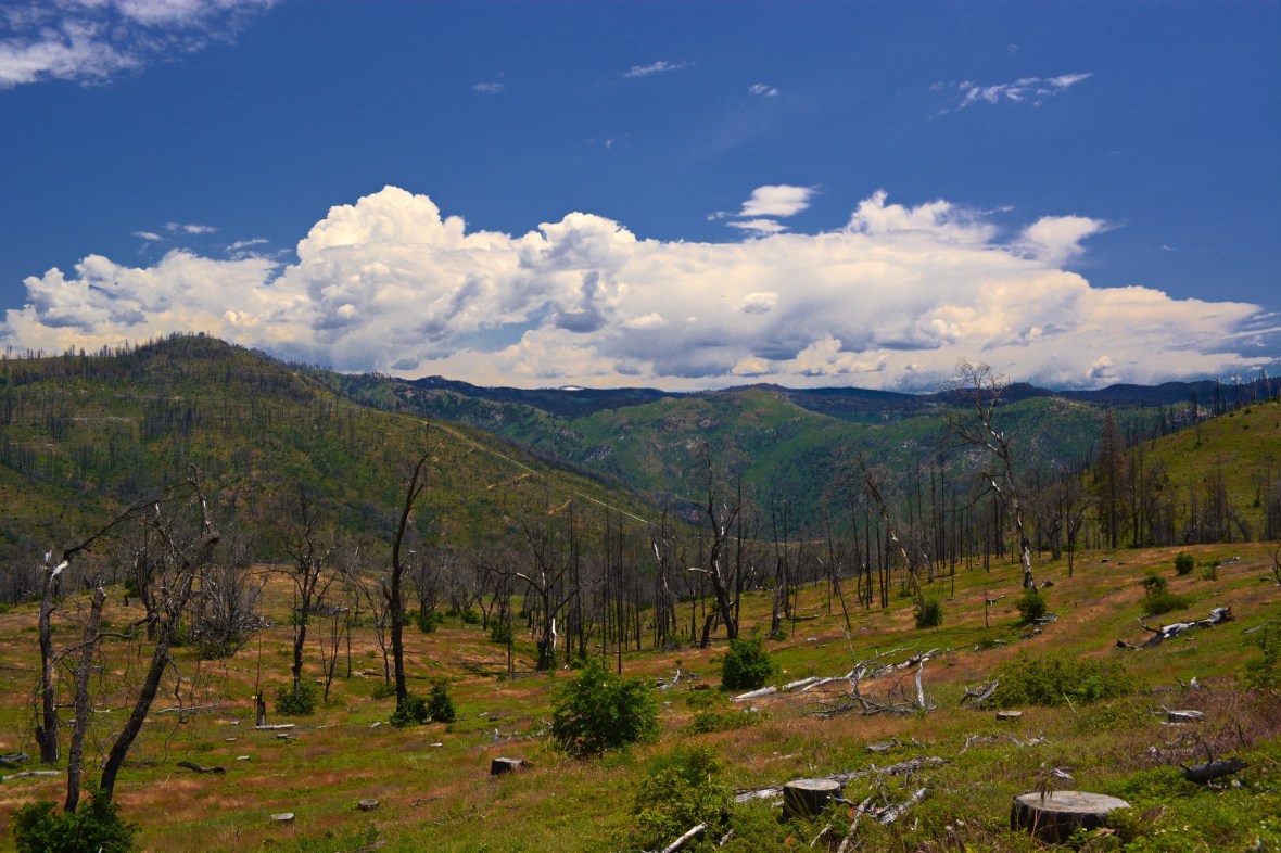 Lumsden Bridge 137-1
