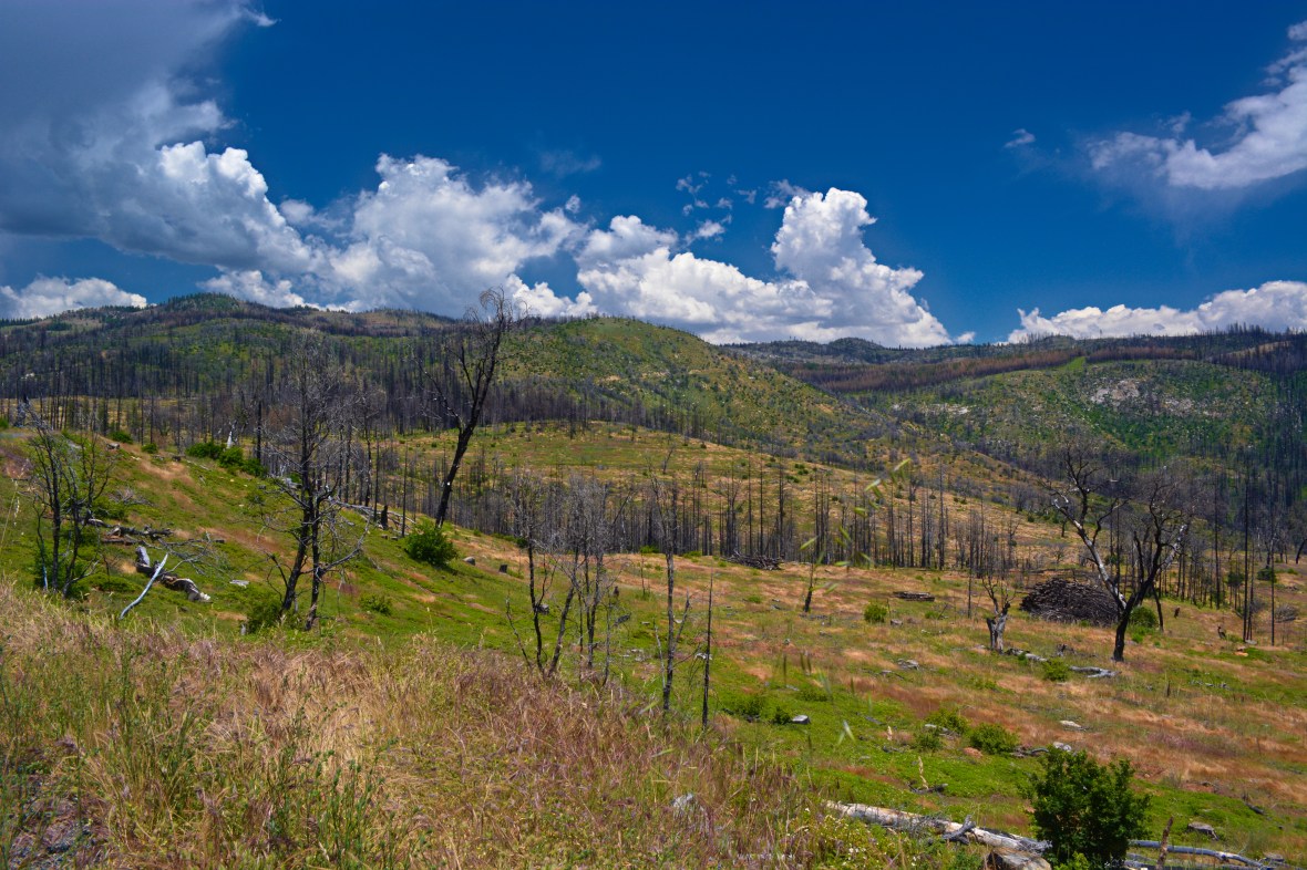Lumsden Bridge 138-1