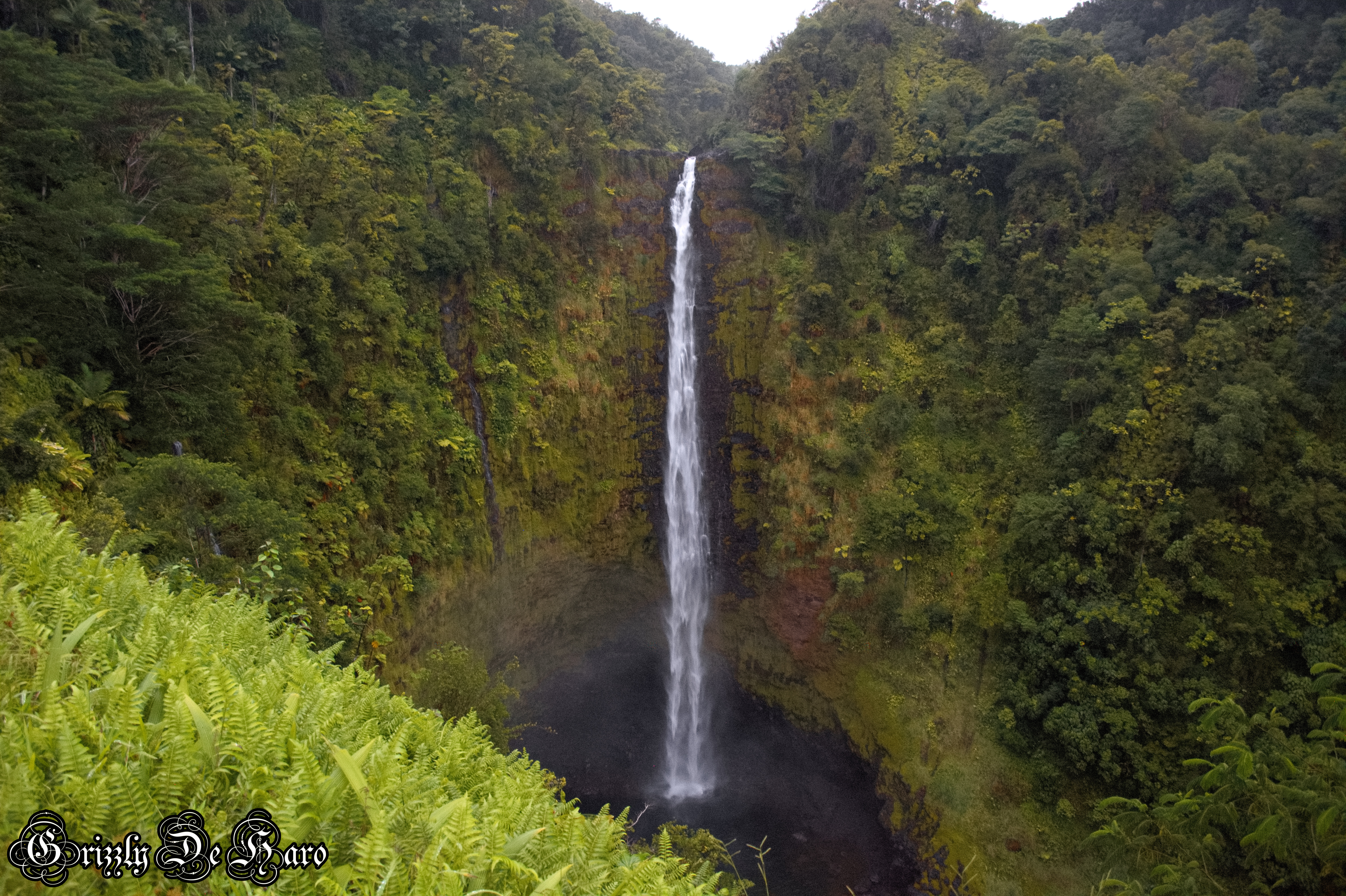 2017-09-06 Hawaii 1395
