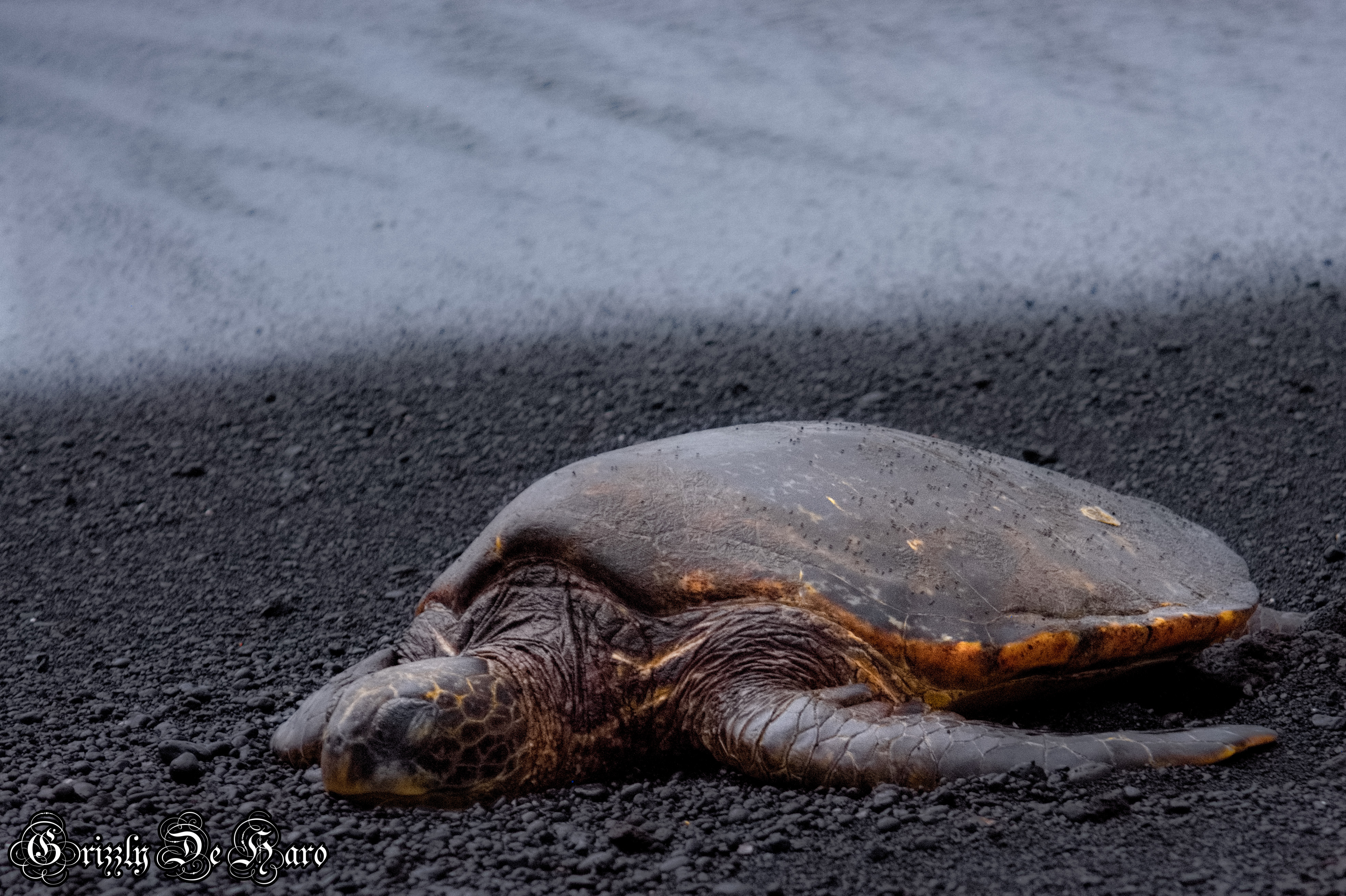 2017-09-06 Hawaii 260