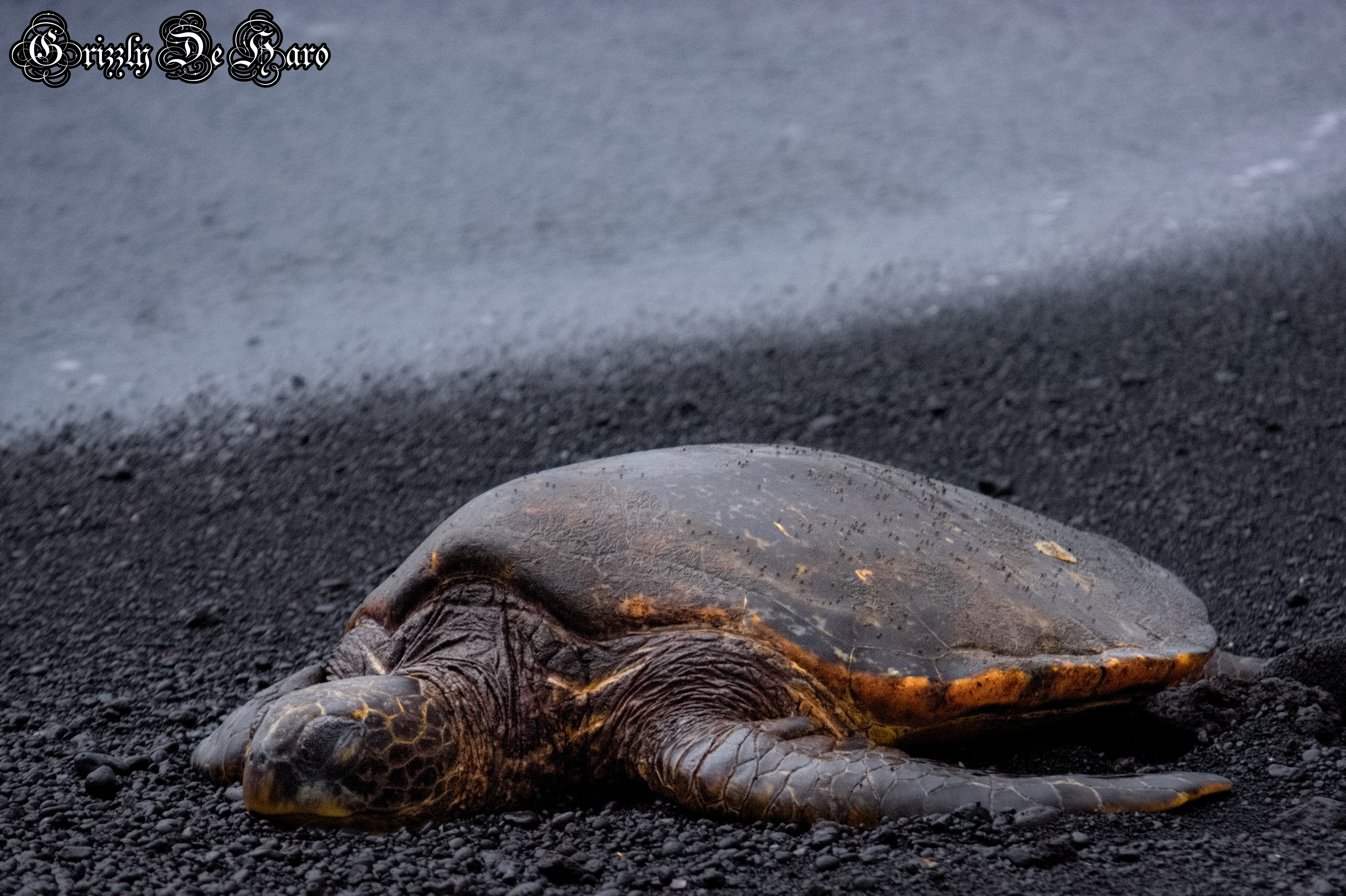2017-09-06 Hawaii 261
