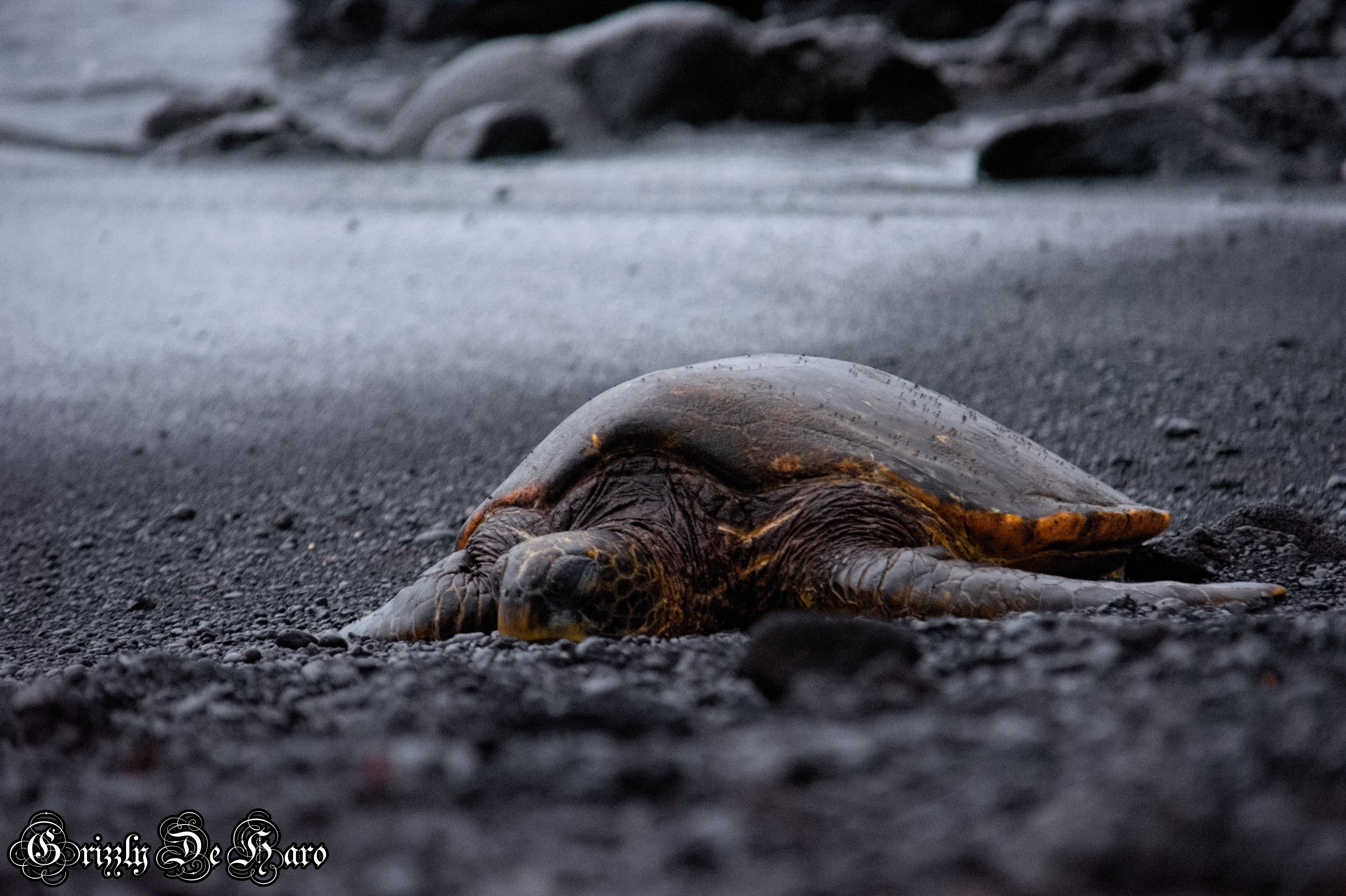 2017-09-06 Hawaii 270