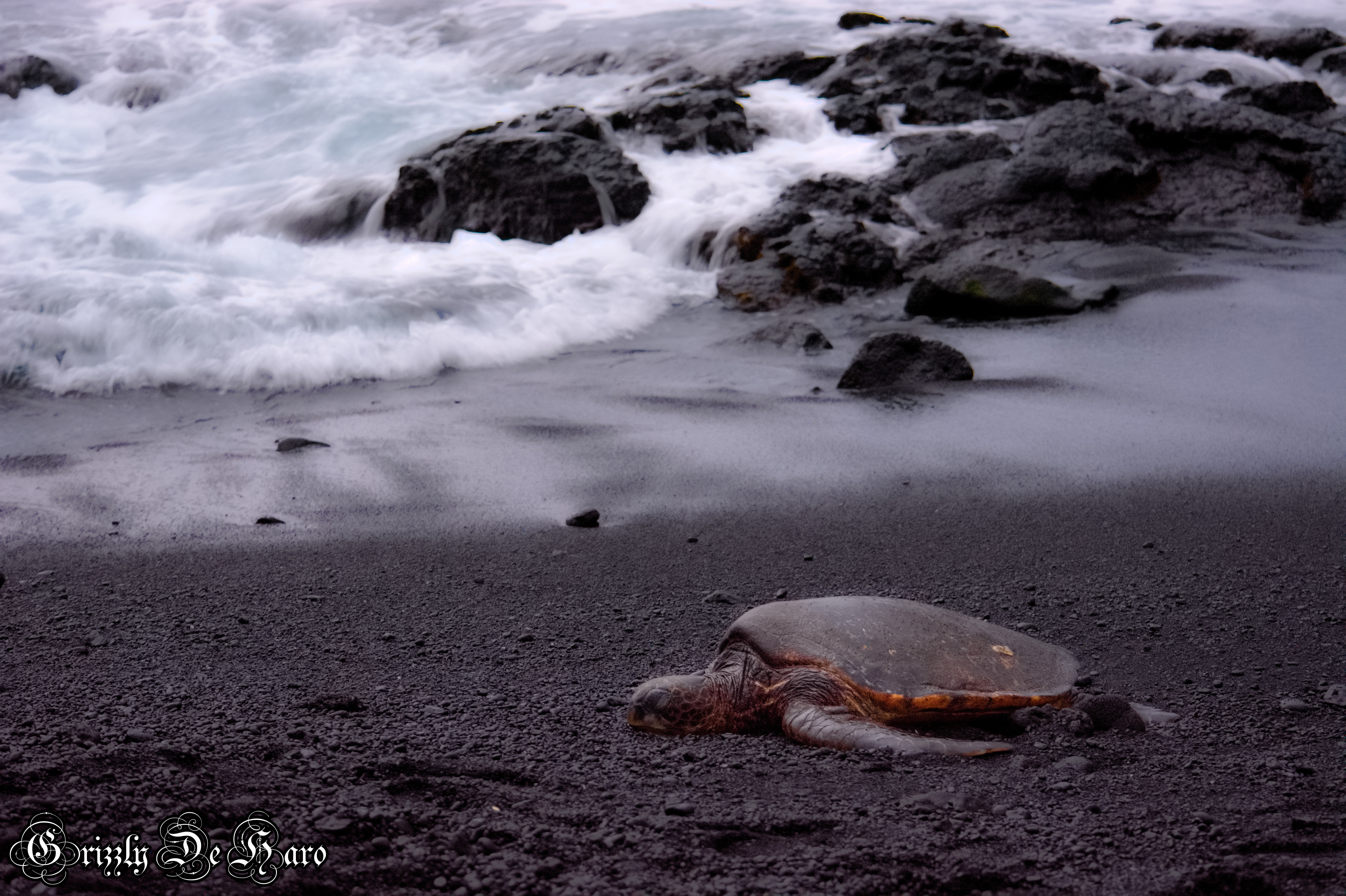 2017-09-06 Hawaii 279