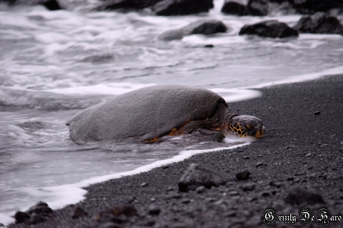 2017-09-06 Hawaii 295