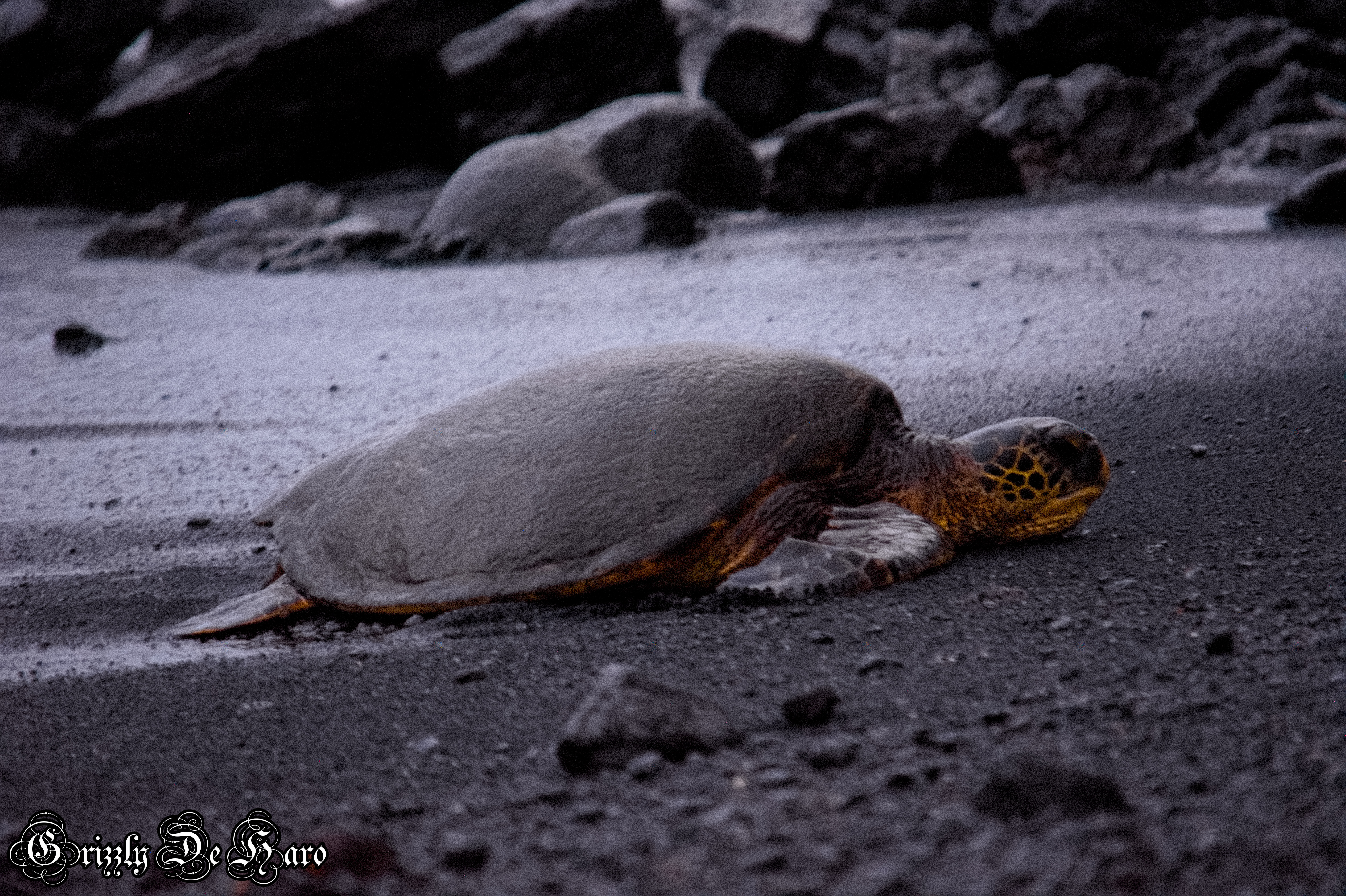 2017-09-06 Hawaii 299