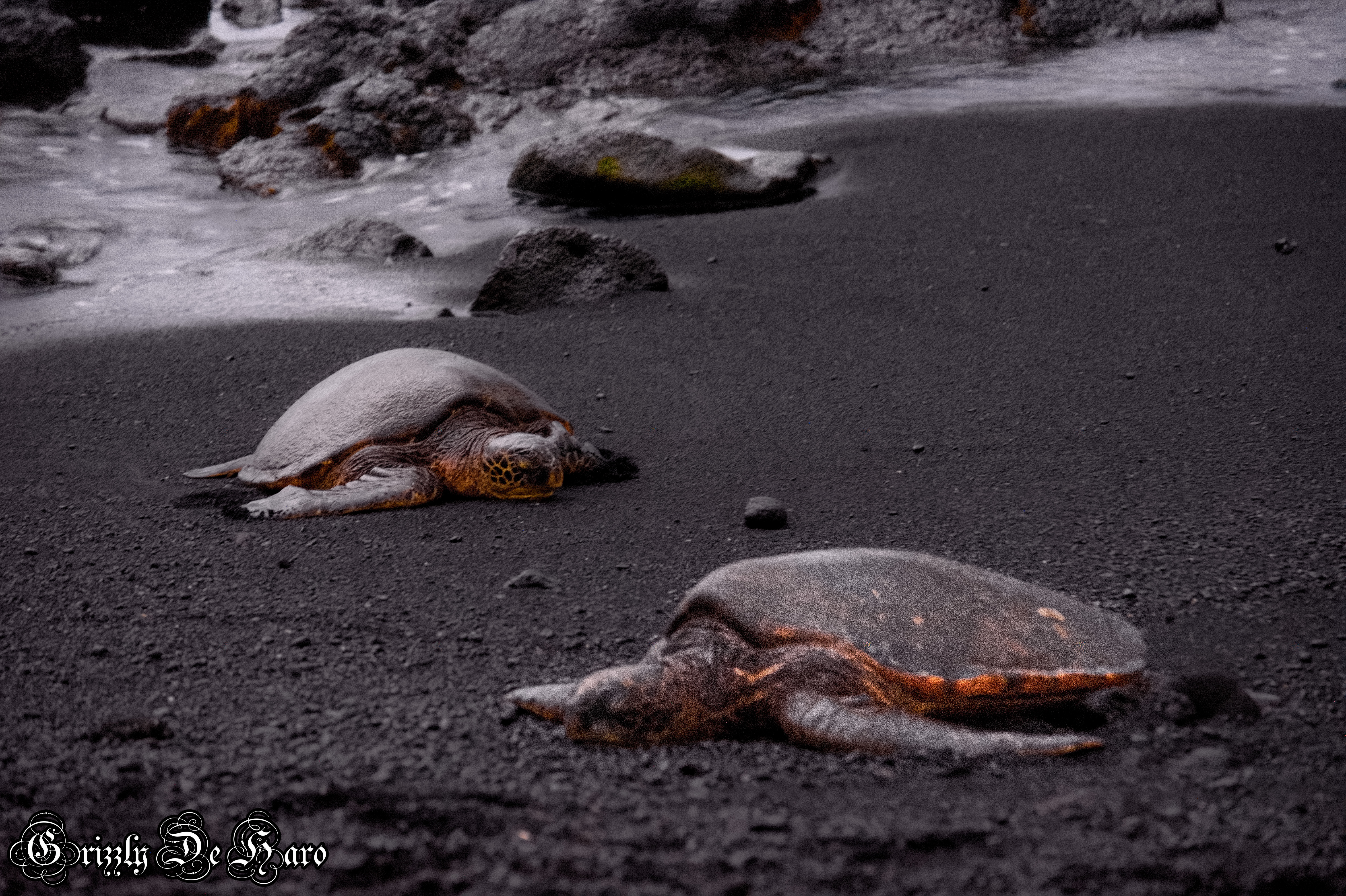 2017-09-06 Hawaii 300