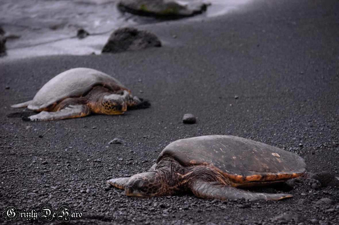 2017-09-06 Hawaii 302