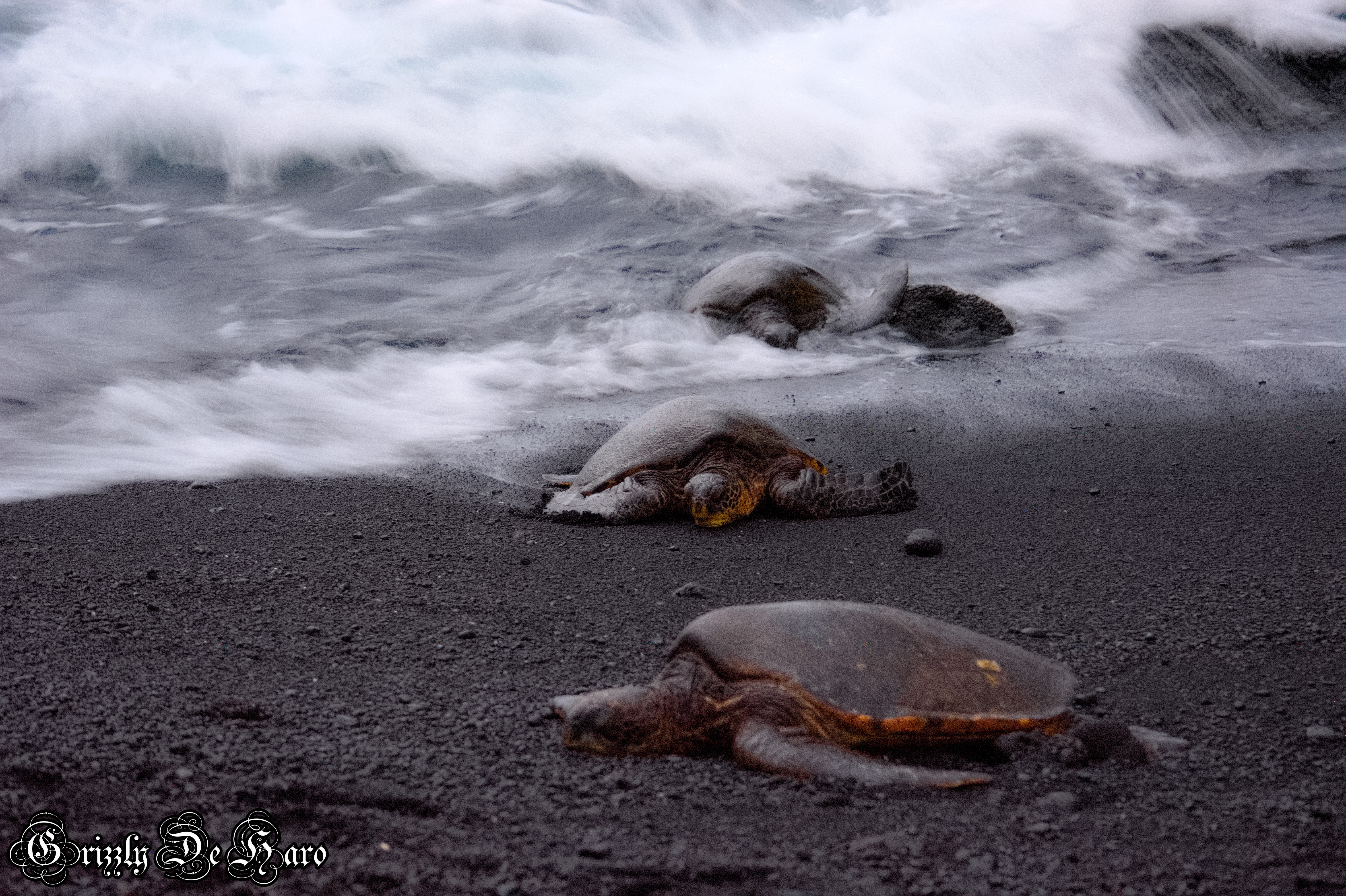 2017-09-06 Hawaii 303
