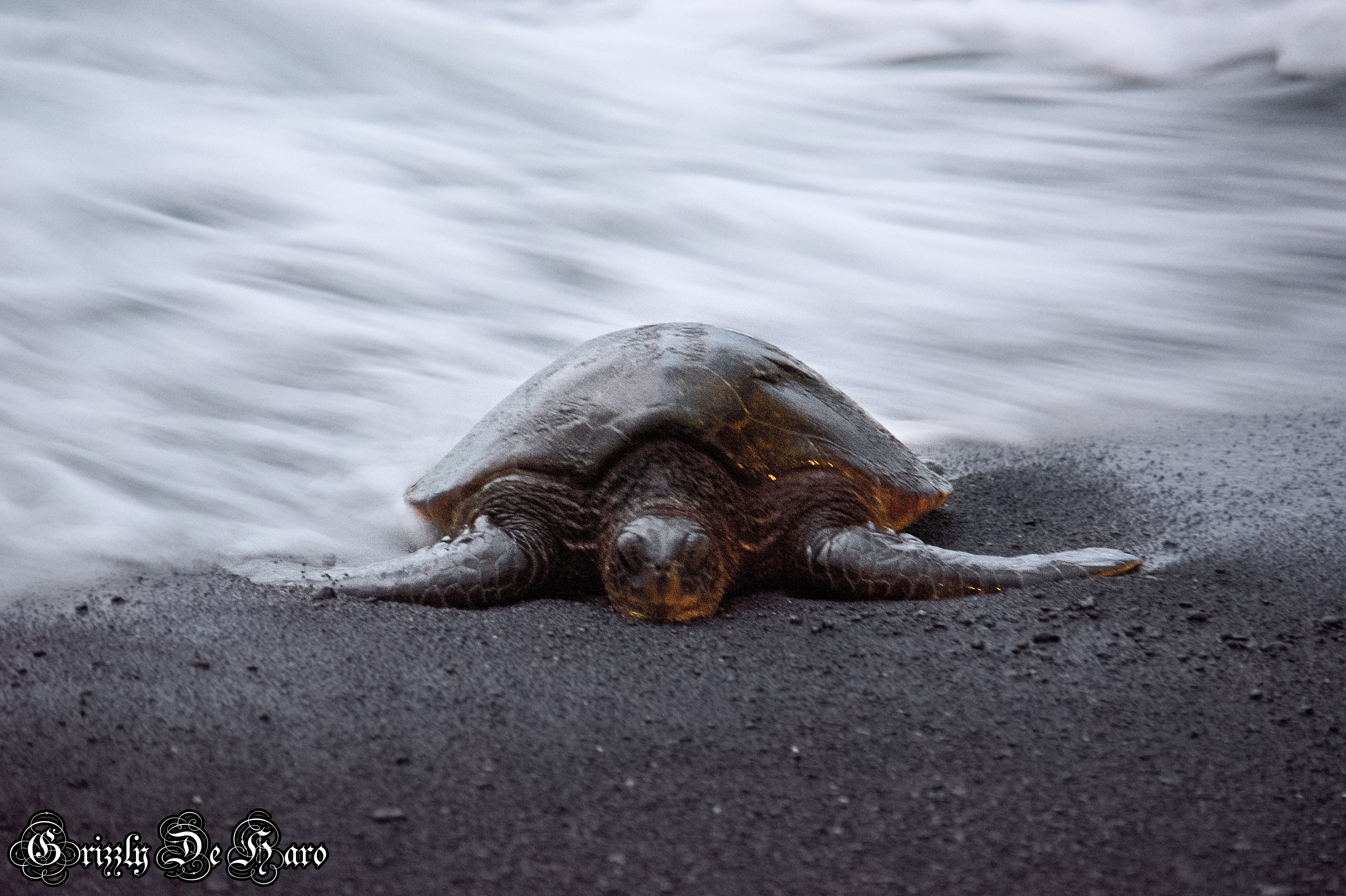 2017-09-06 Hawaii 312