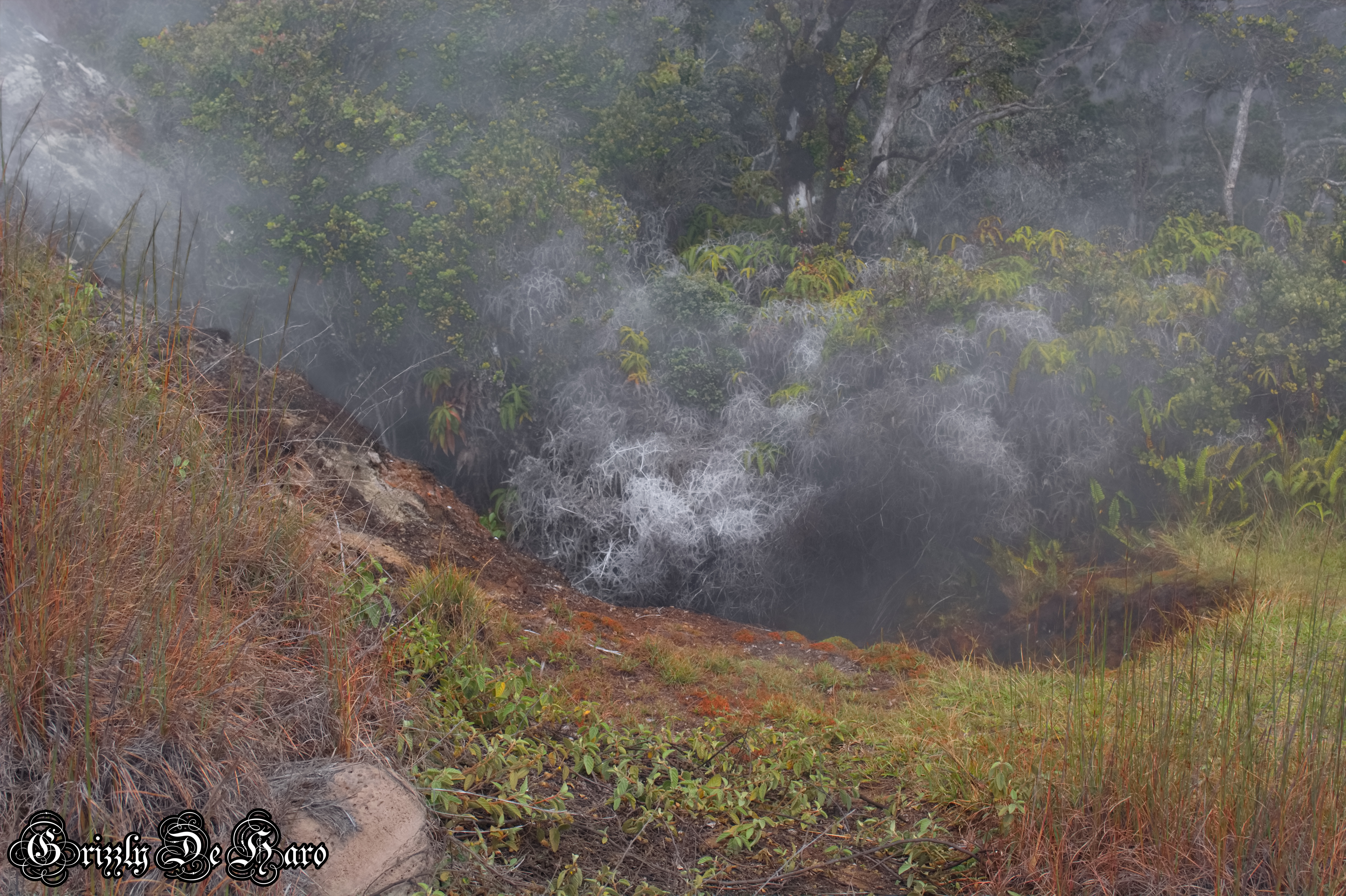 2017-09-06 Hawaii 400