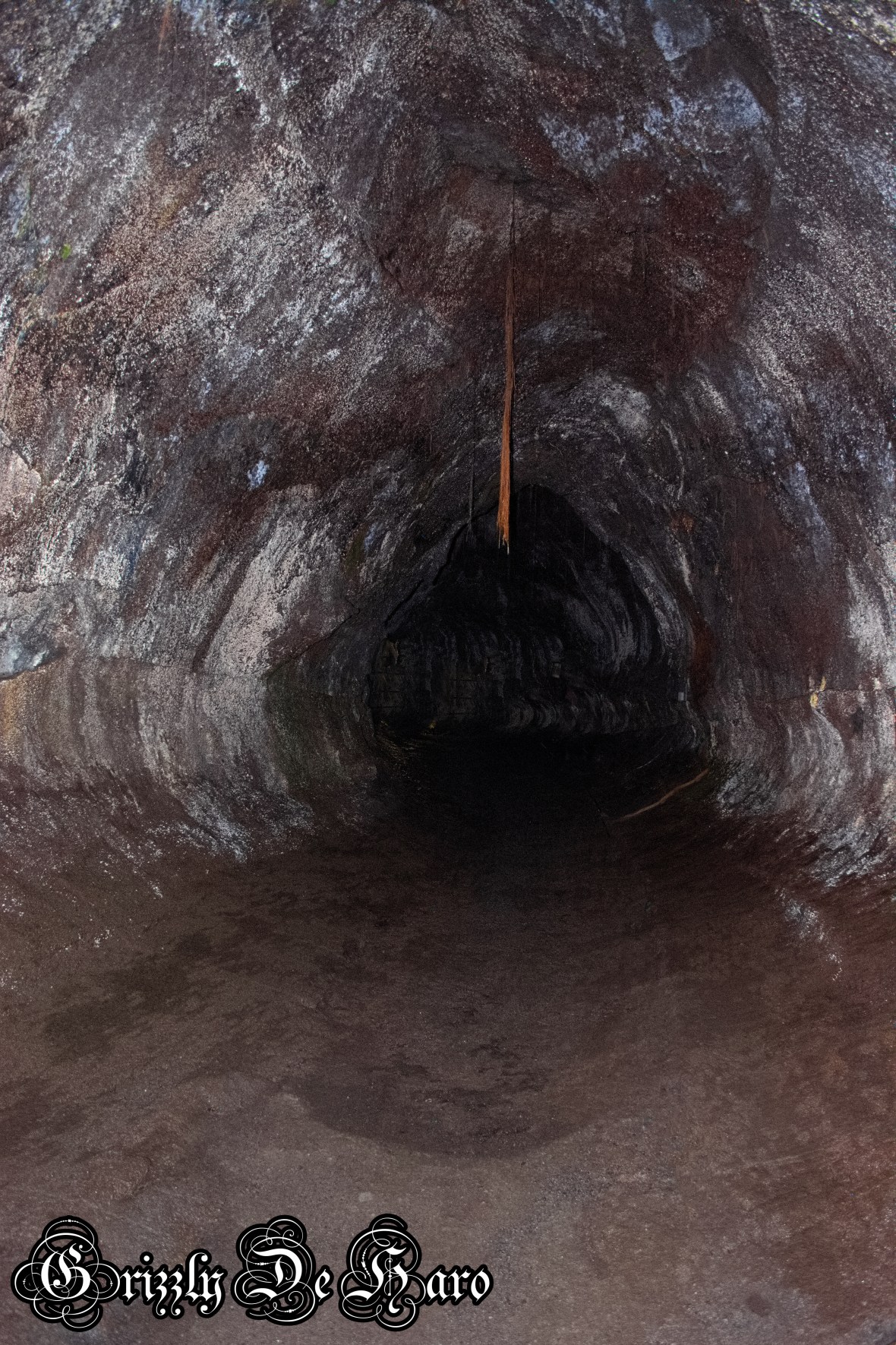 2017-09-06 Hawaii 494