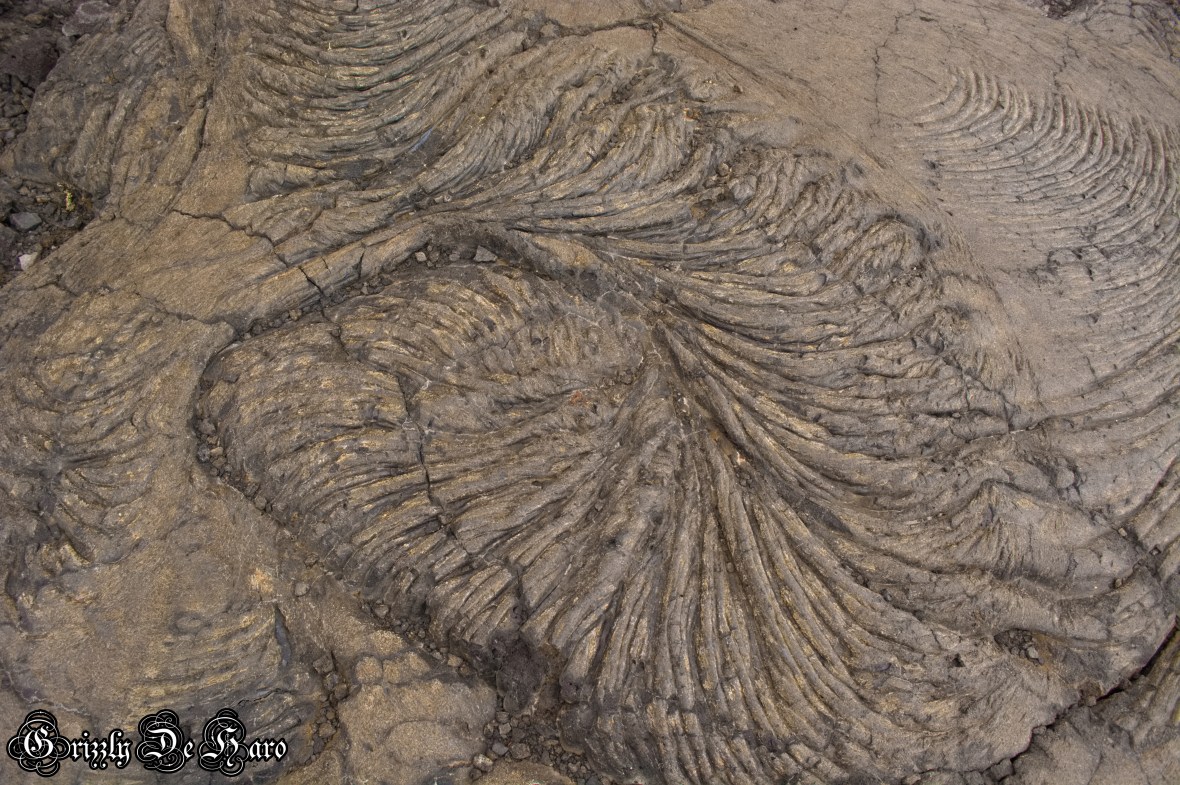 2017-09-06 Hawaii 598