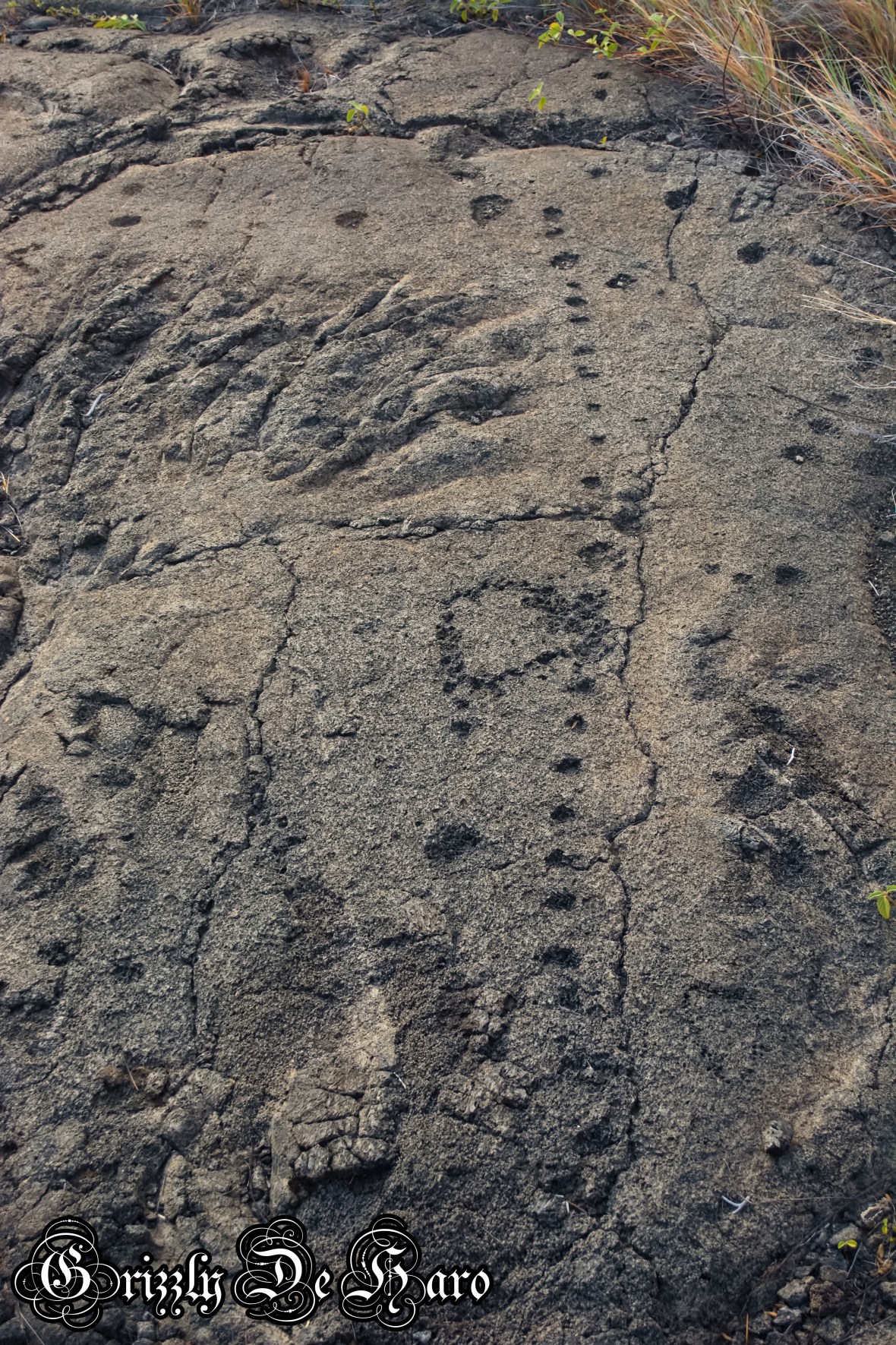 2017-09-06 Hawaii 642