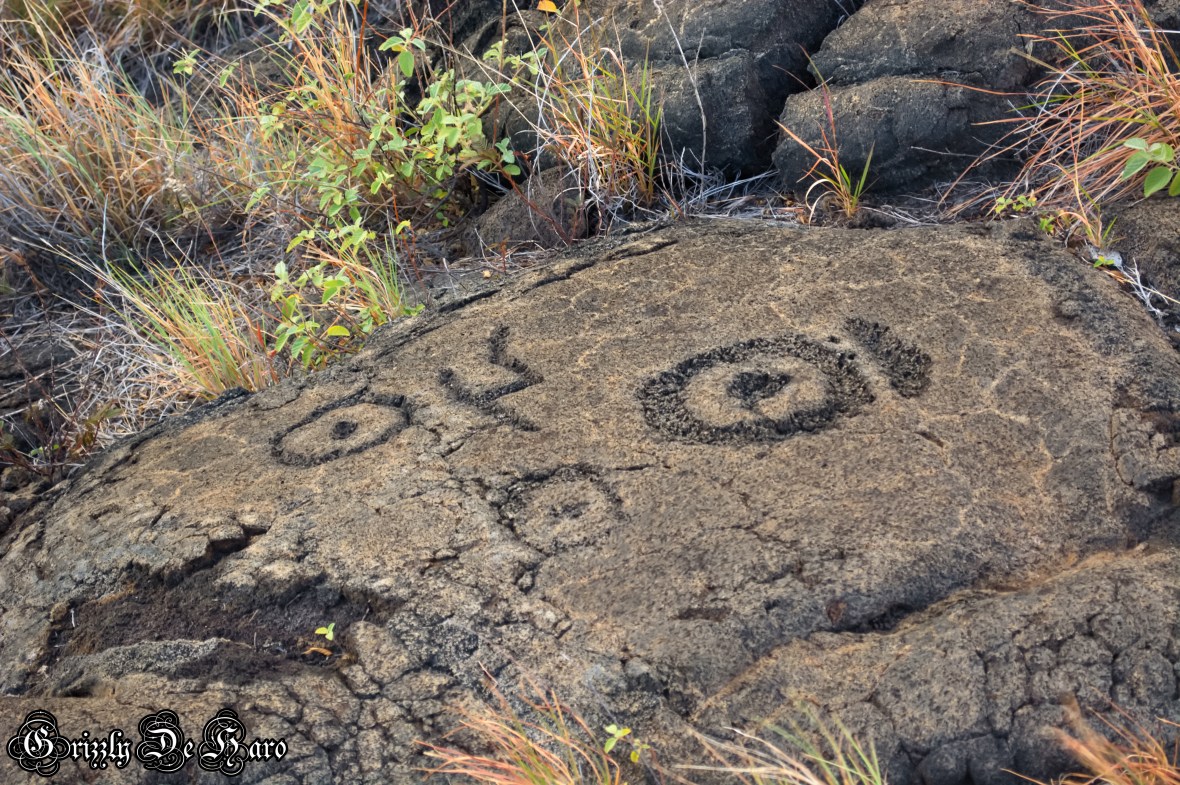 2017-09-06 Hawaii 656