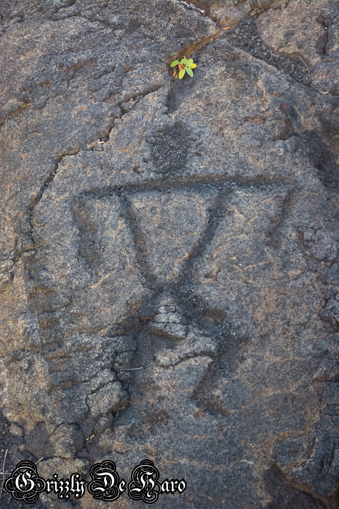 2017-09-06 Hawaii 680