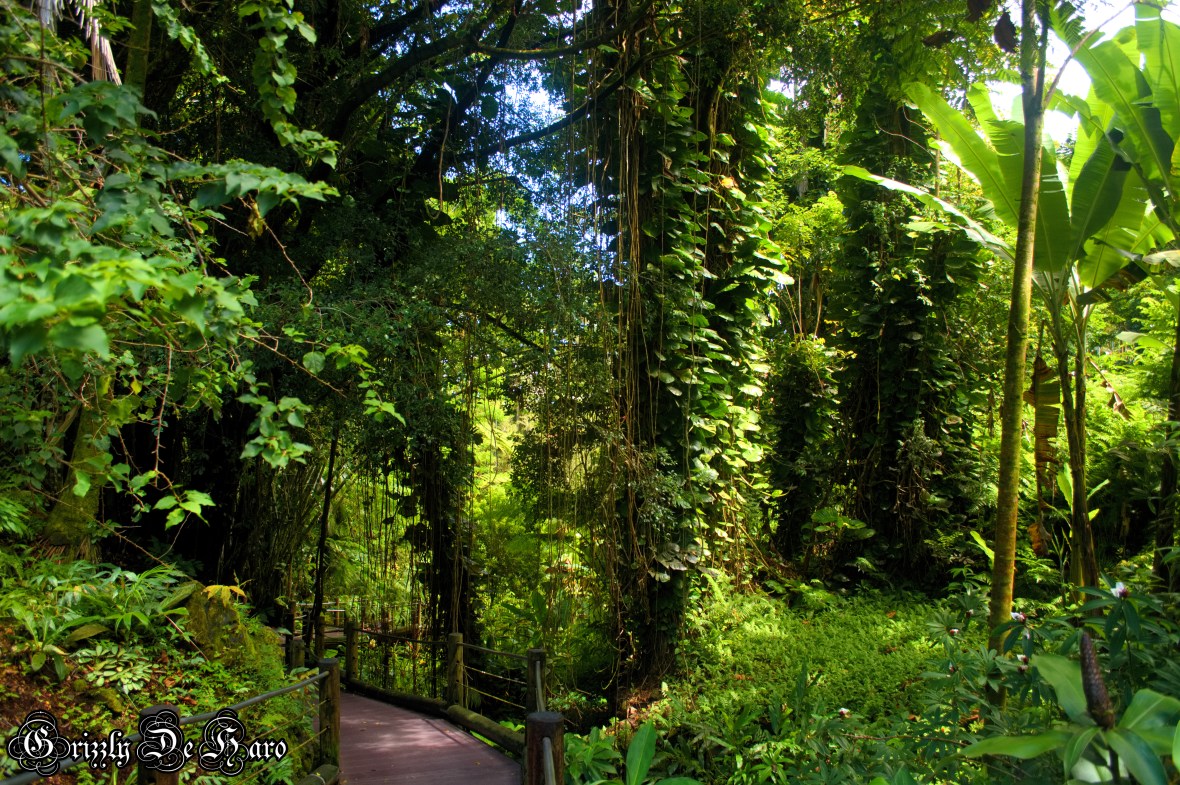 2017-09-06 Hawaii 977