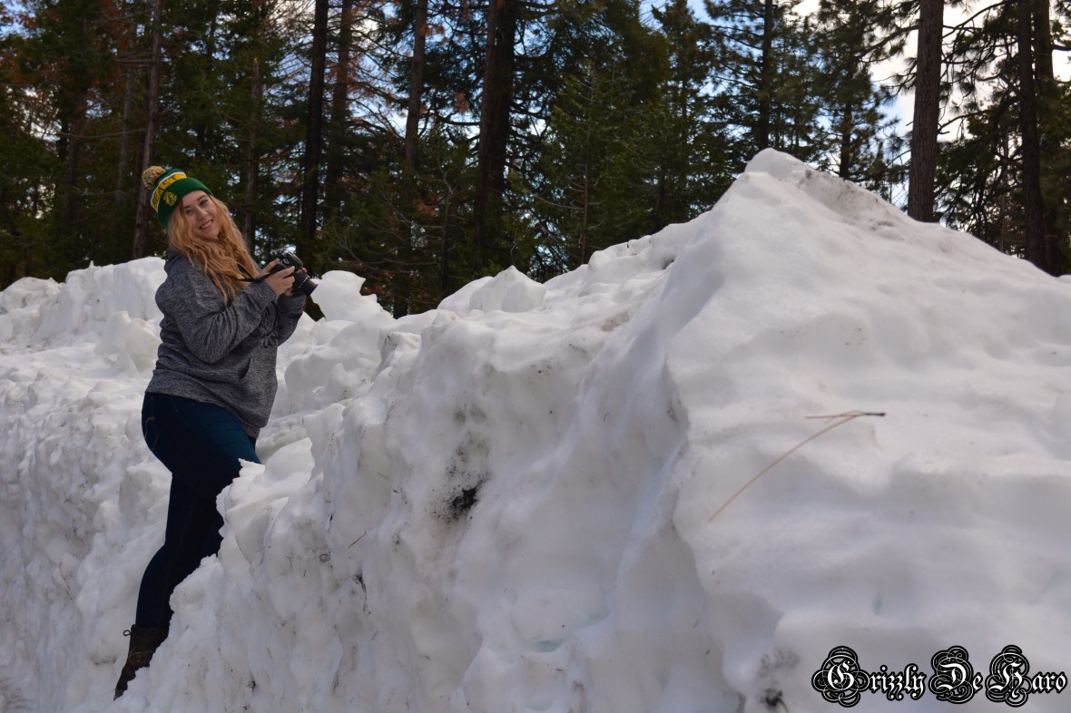 2017-2-4 Yosemity 013-1