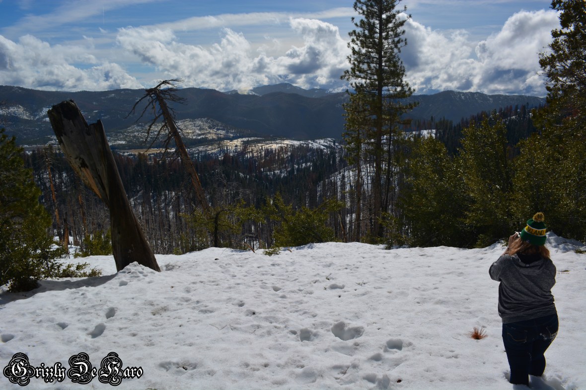 2017-2-4 Yosemity 021-1