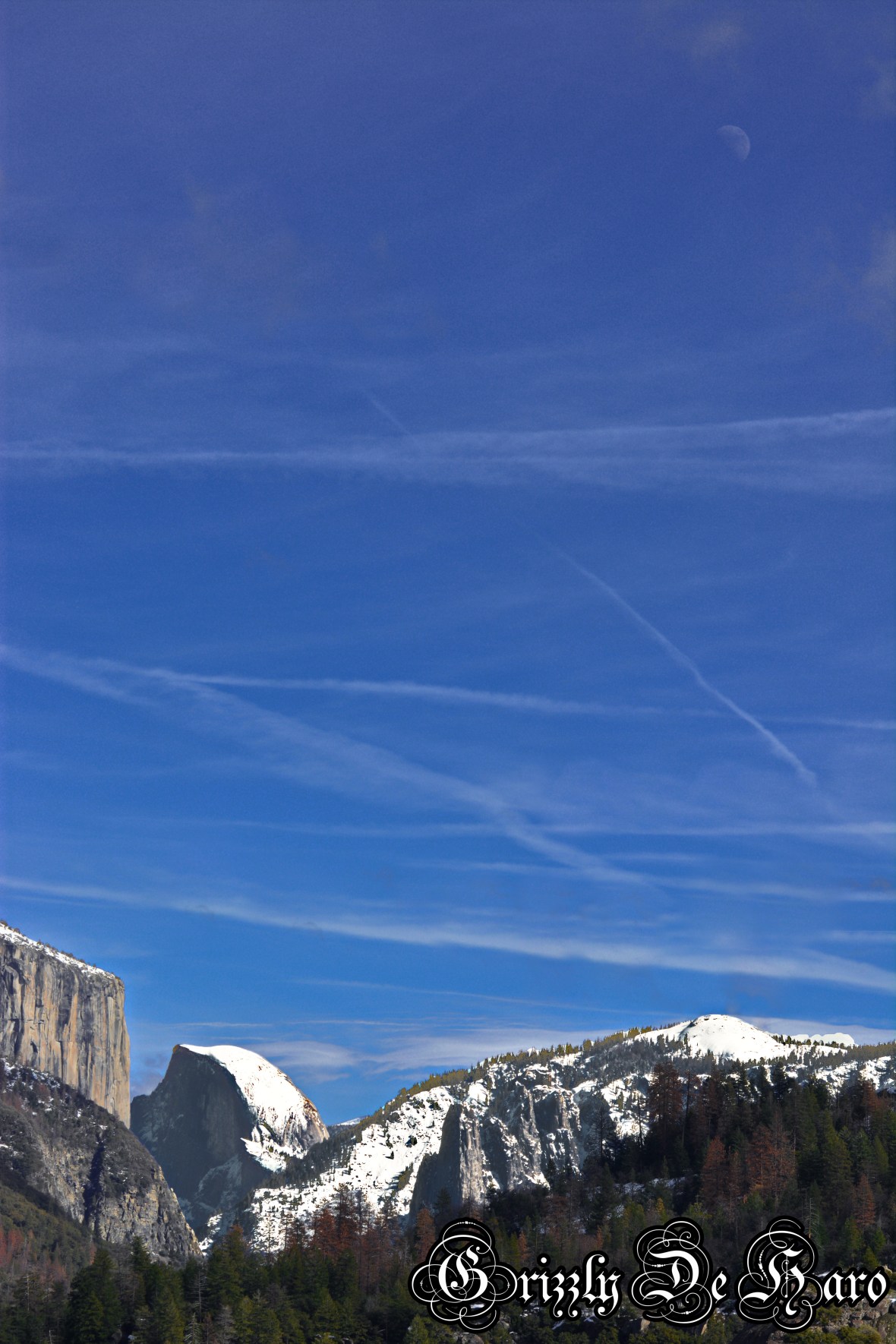 2017-2-4 Yosemity 166-1