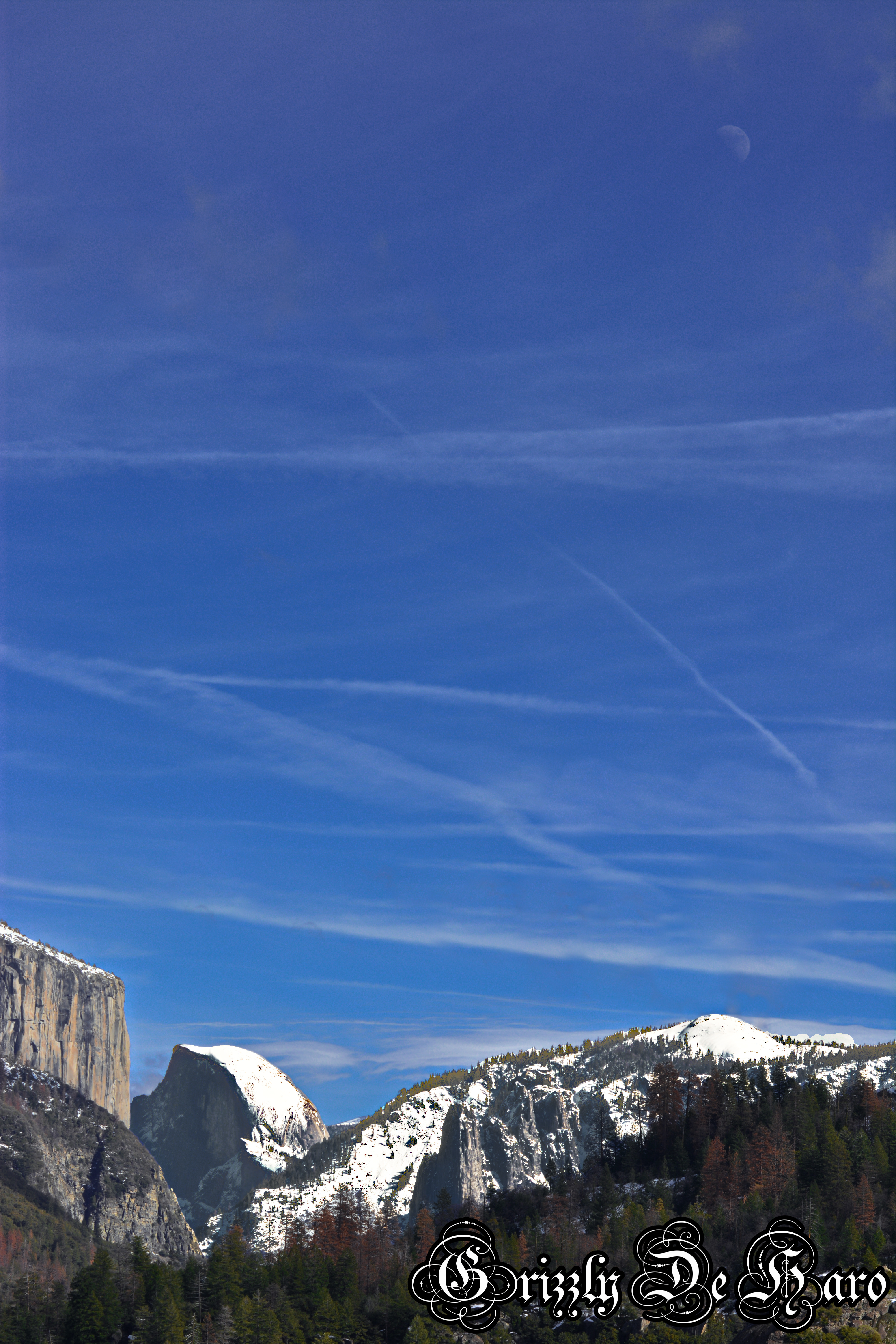 2017-2-4 Yosemity 166-1