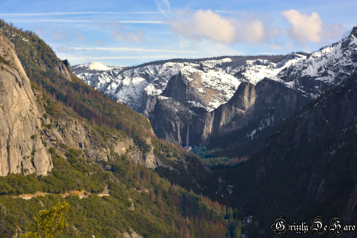 2017-2-4 Yosemity 173-1