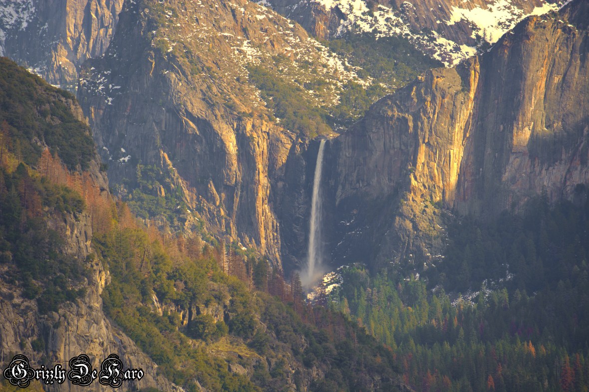 2017-2-4 Yosemity 193-1