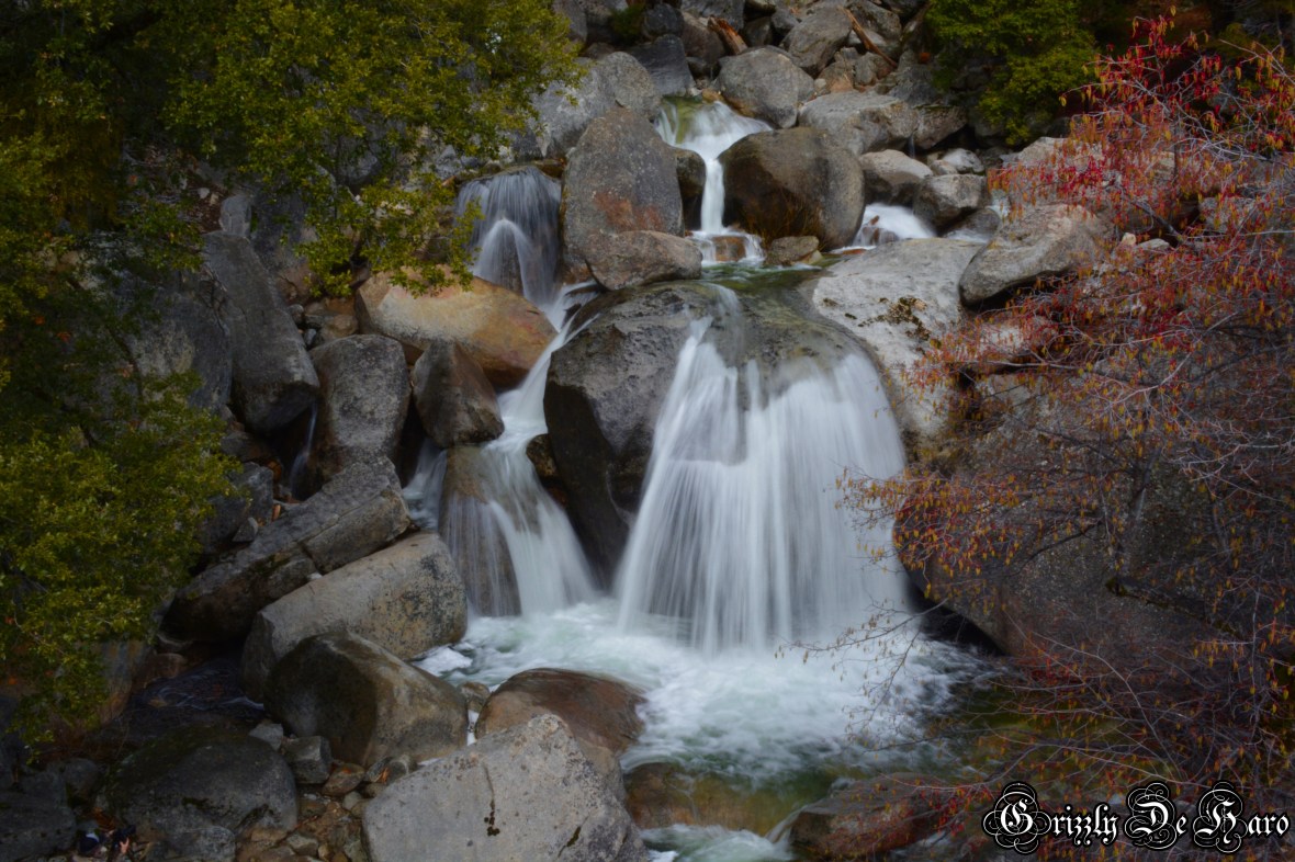 2017-2-4 Yosemity 229-1