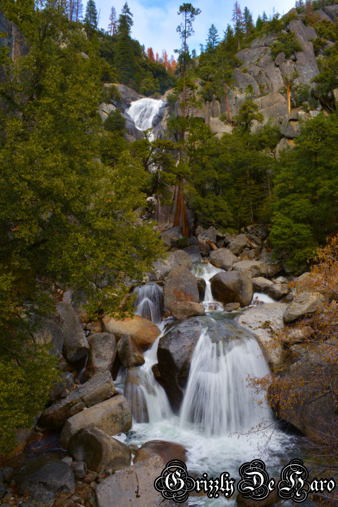 2017-2-4 Yosemity 238-1