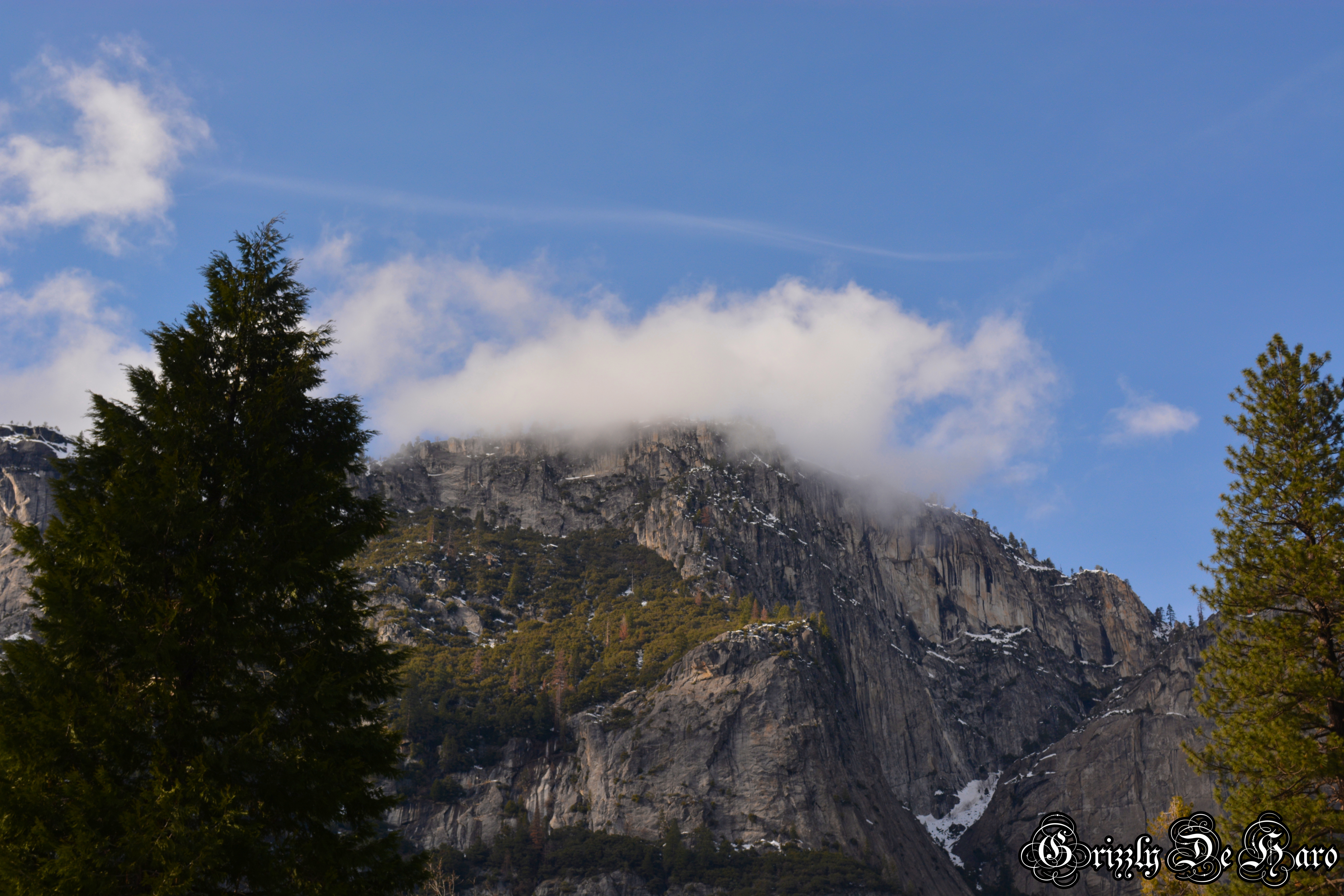 2017-2-4 Yosemity 288-1
