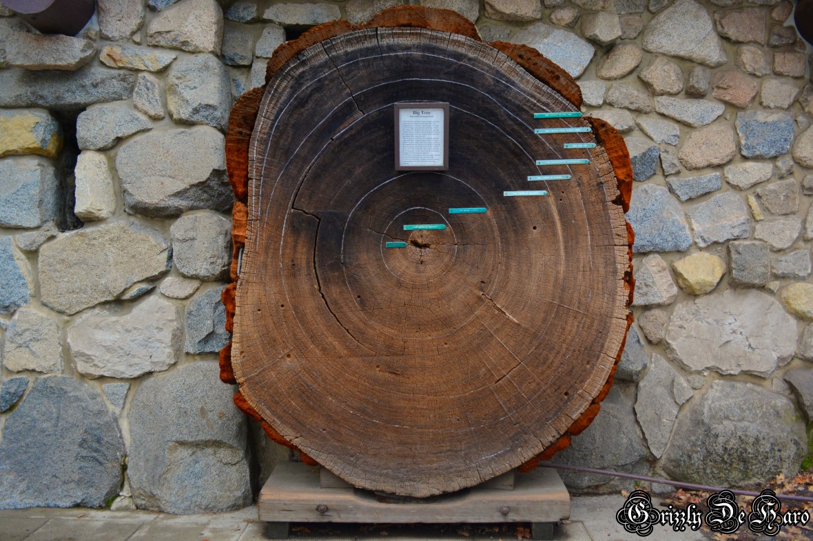 2017-2-4 Yosemity 342-1