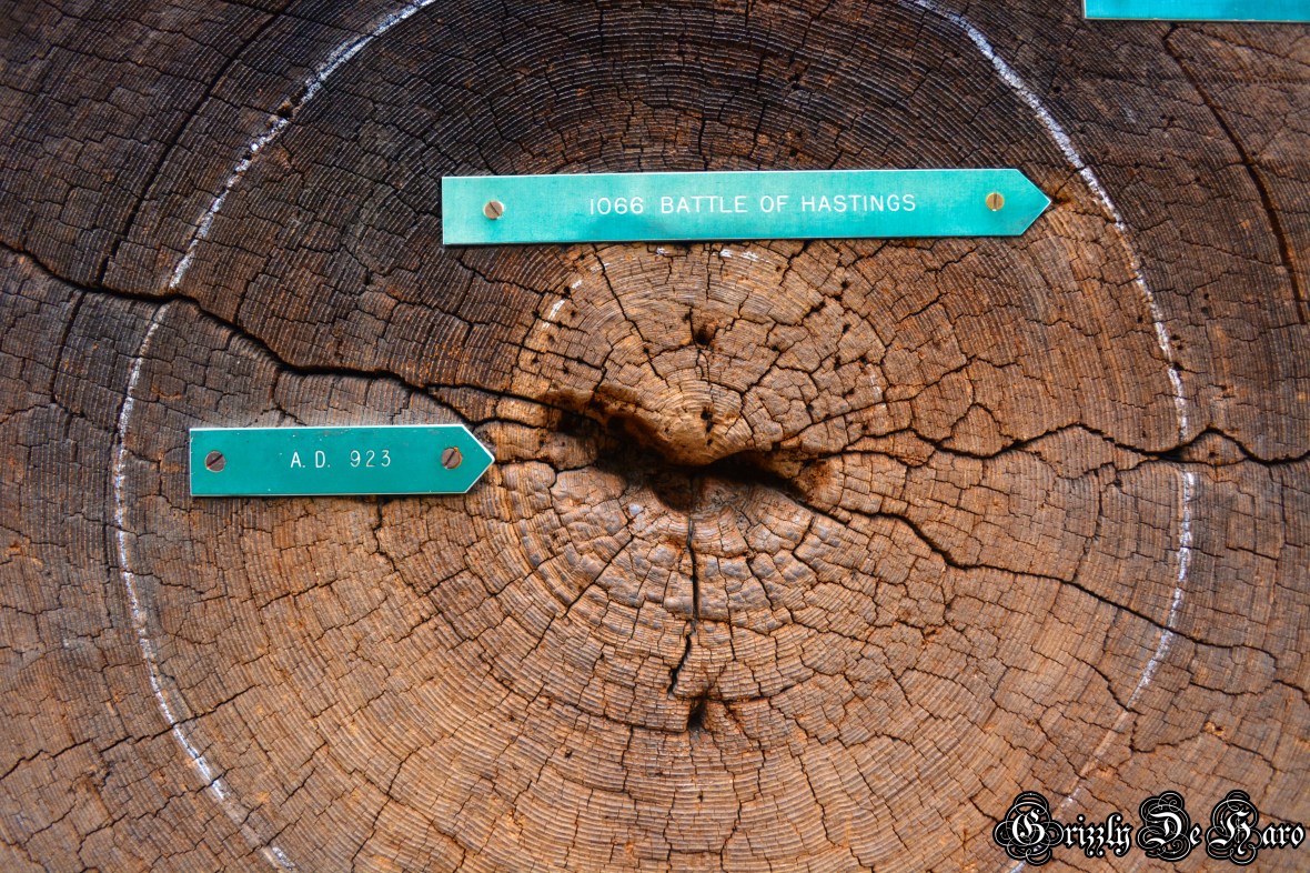 2017-2-4 Yosemity 347-1