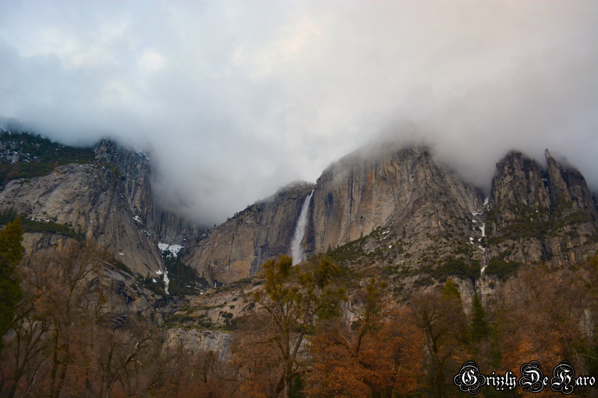 2017-2-4 Yosemity 399-1