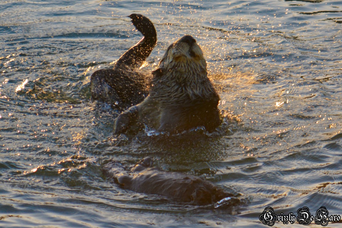 Christmas & PCH 1038-1