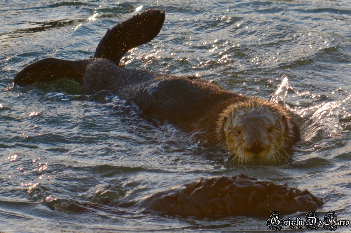 Christmas & PCH 1043-1