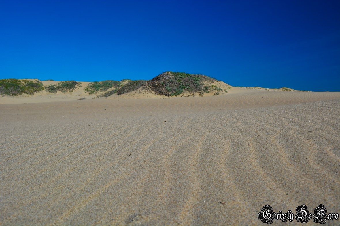 Christmas & PCH 347-1