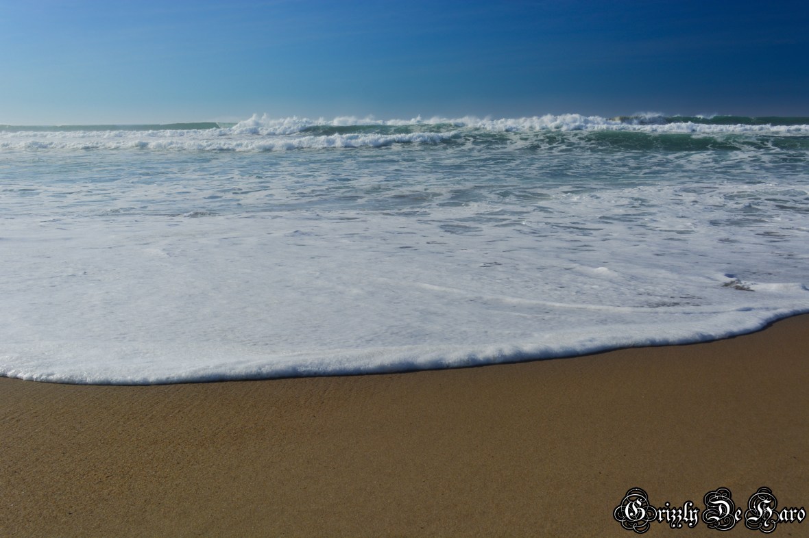 Christmas & PCH 377-1