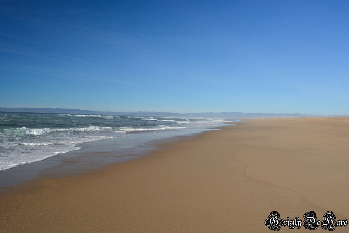 Christmas & PCH 427-1