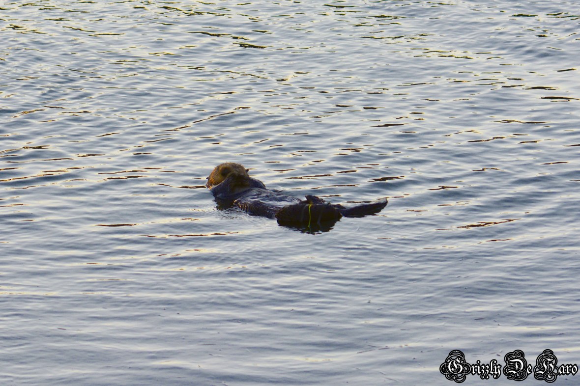 Christmas & PCH 886-1