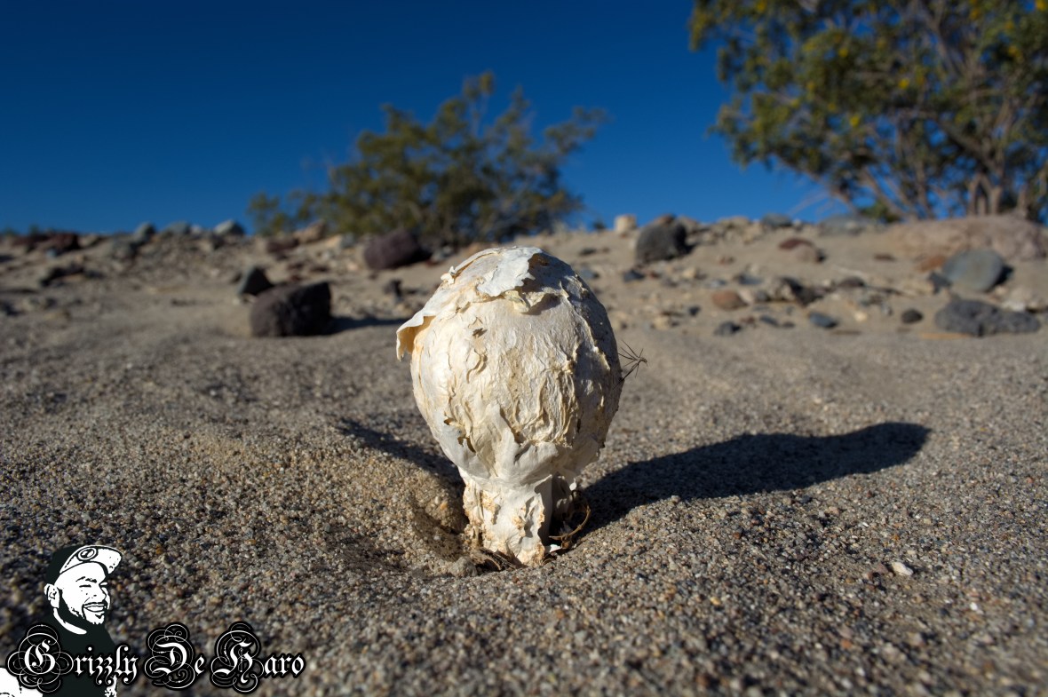 2017-03-21 Death Valley 040