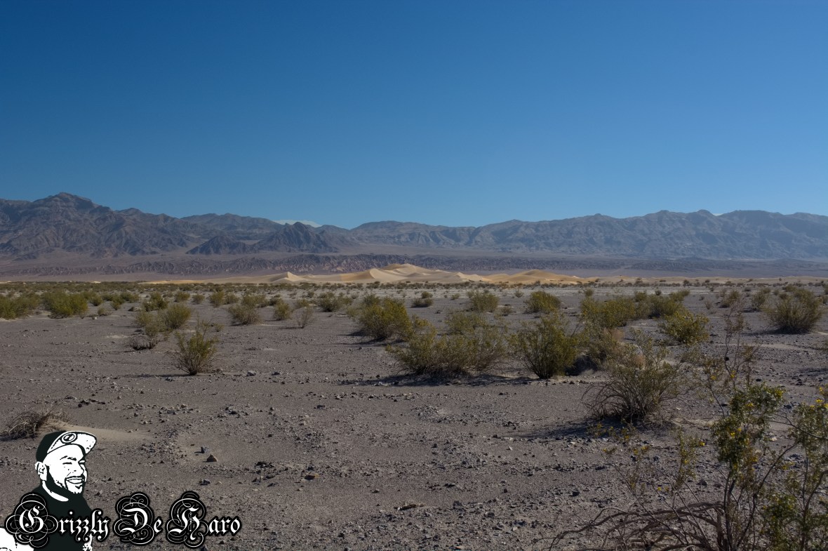 2017-03-21 Death Valley 155