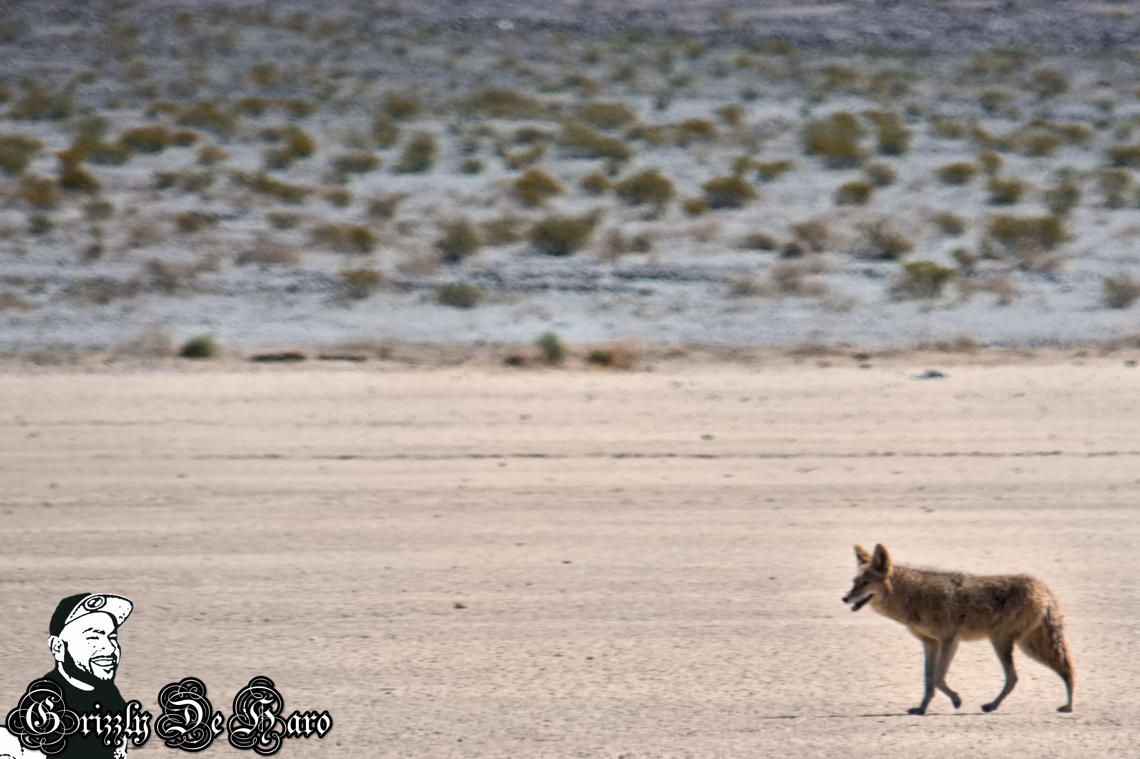 2017-03-21 Death Valley 254