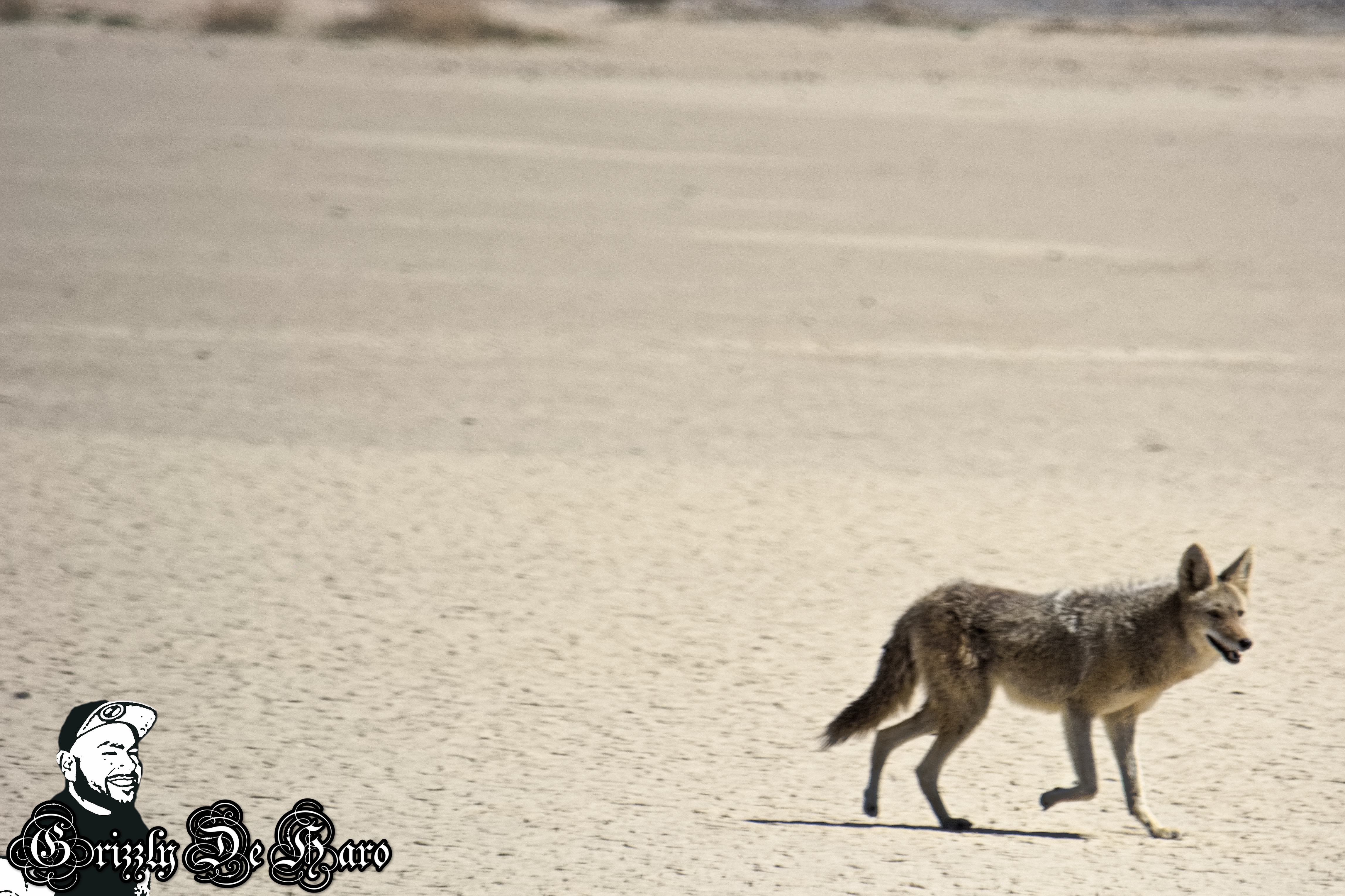 2017-03-21 Death Valley 300