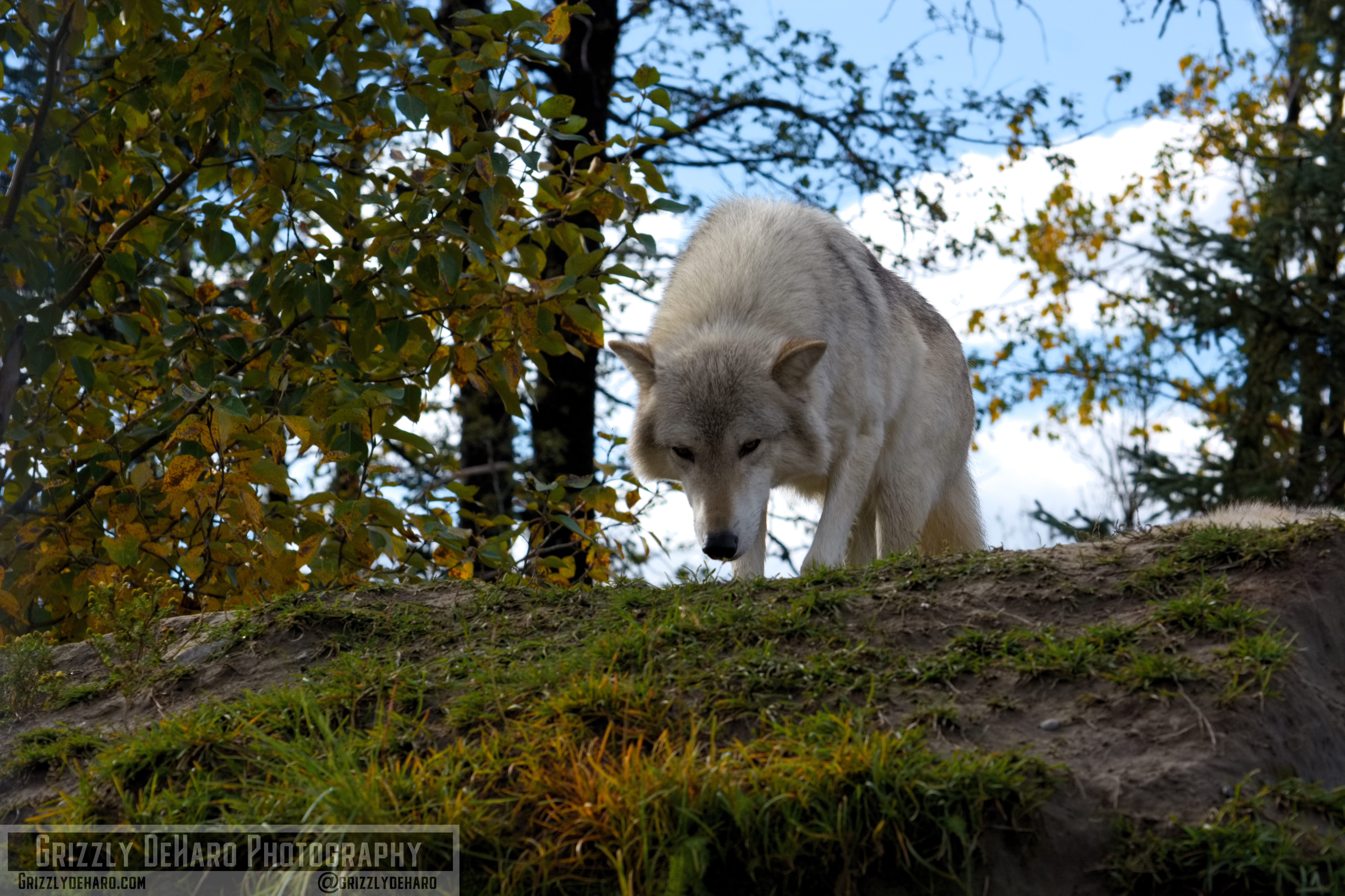 2018-09-19 Alaska 1057