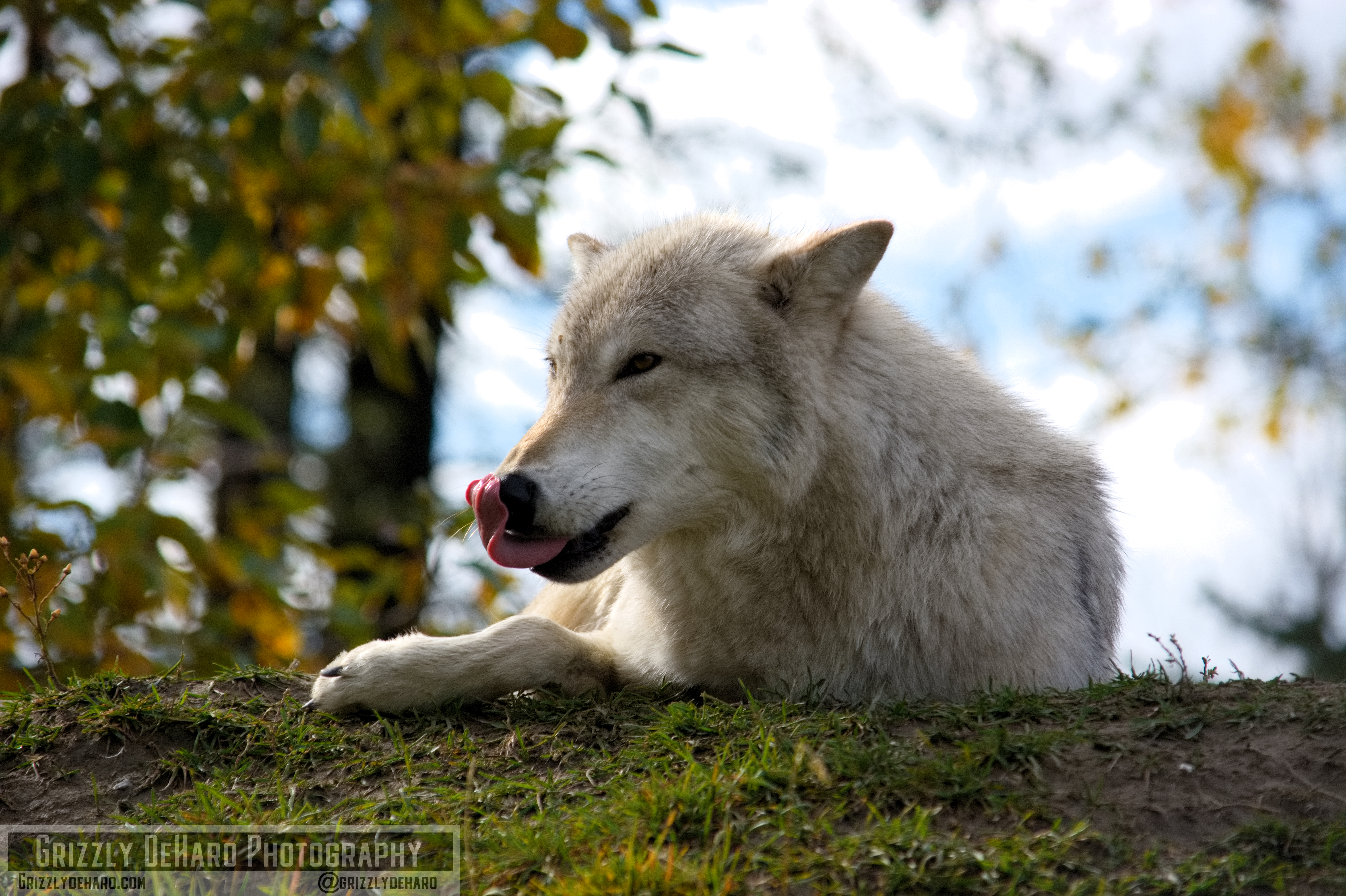 2018-09-19 Alaska 1127