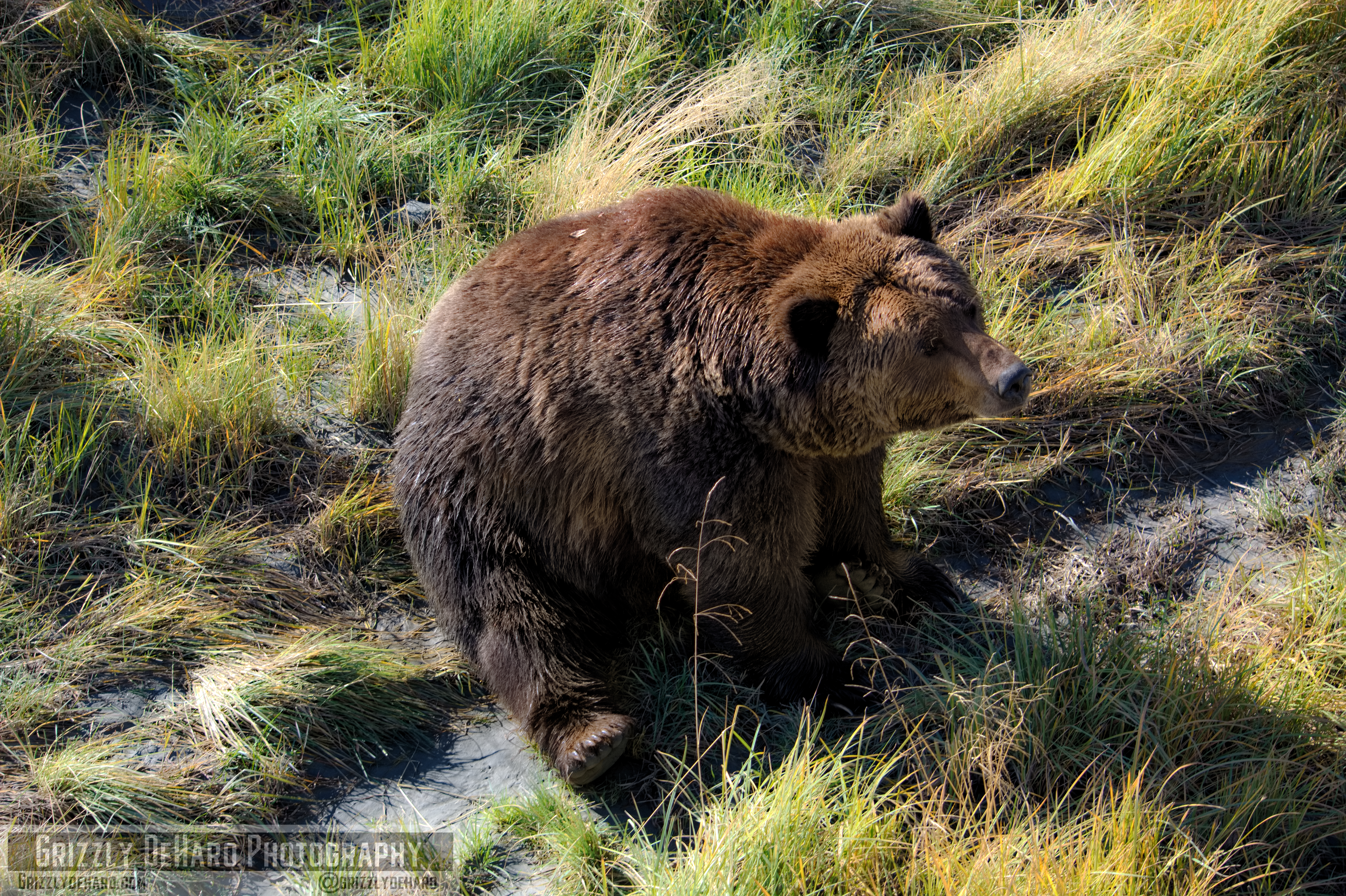 2018-09-19 Alaska 1614