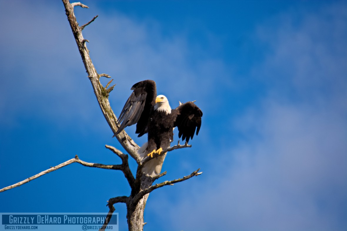 2018-09-19 Alaska 1971