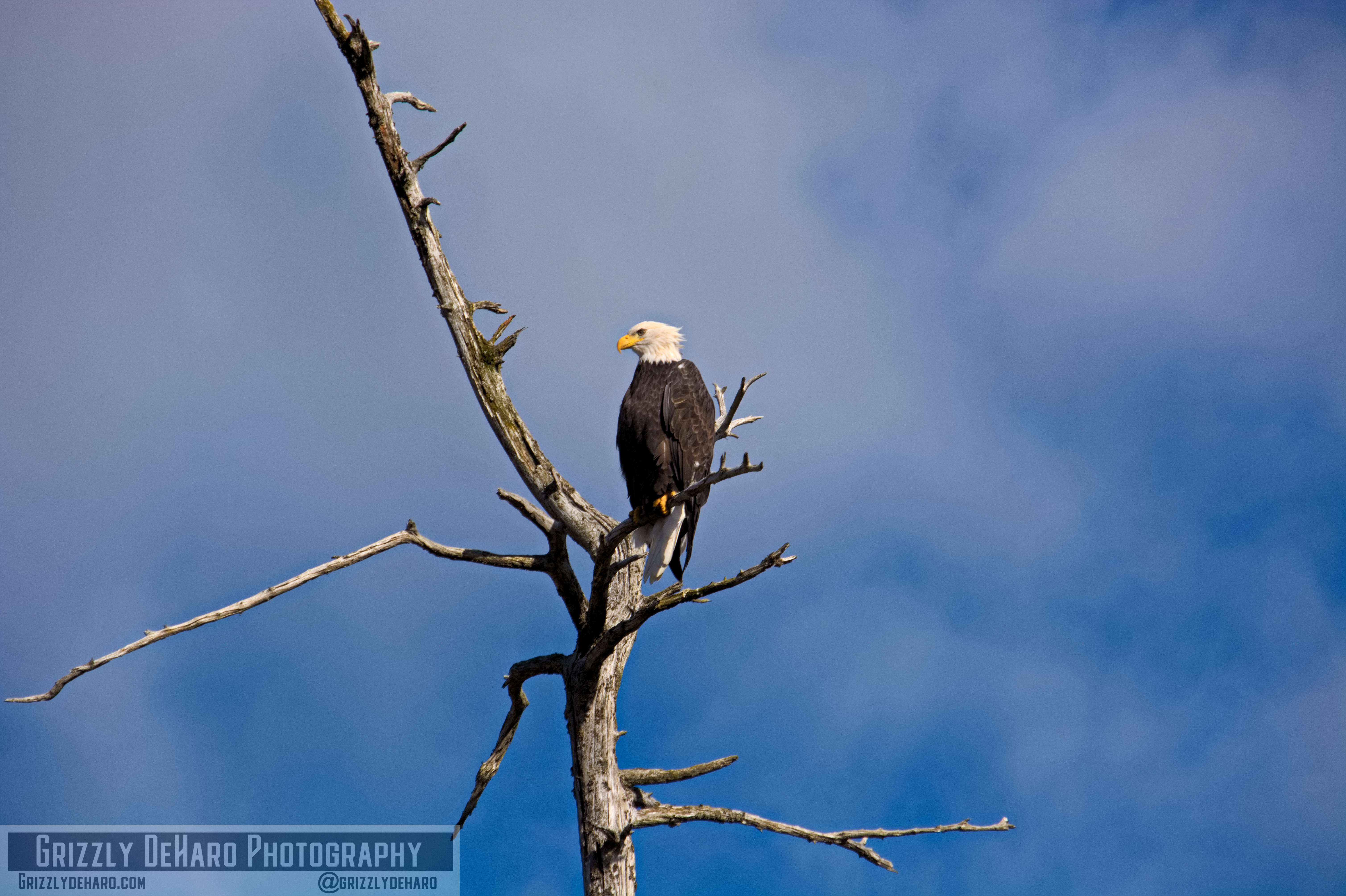2018-09-19 Alaska 2009