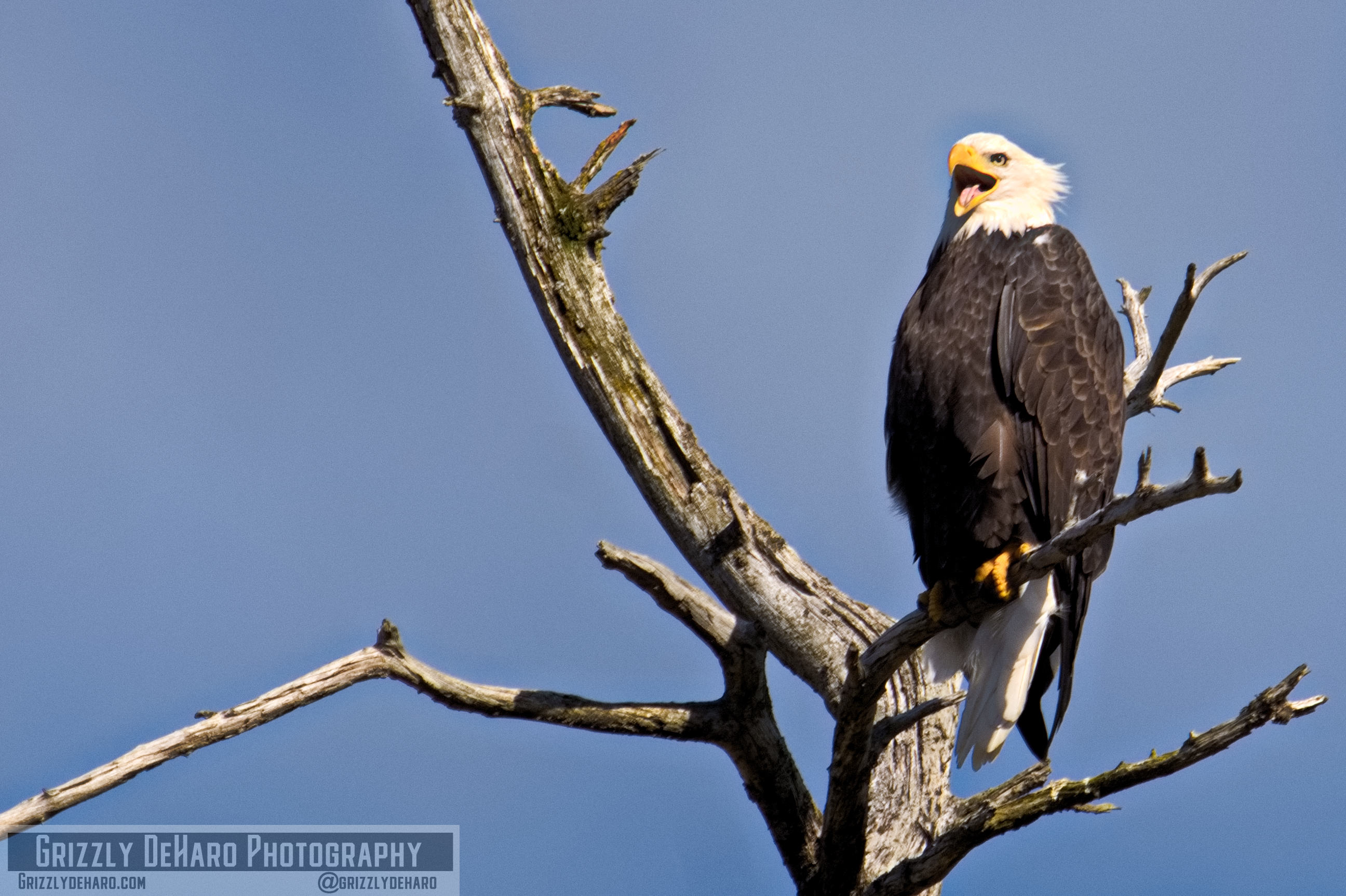 2018-09-19 Alaska 2011-1