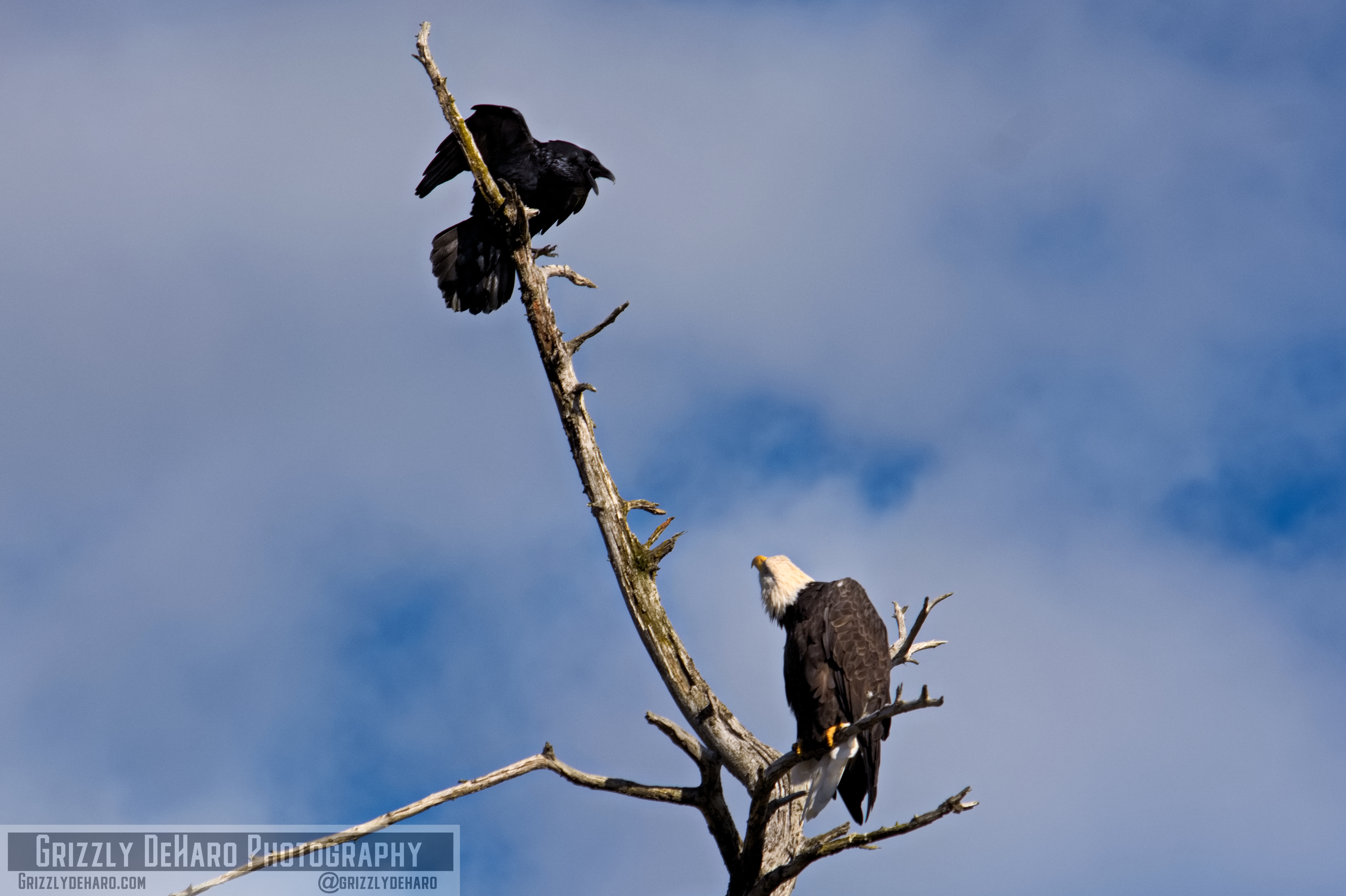 2018-09-19 Alaska 2024