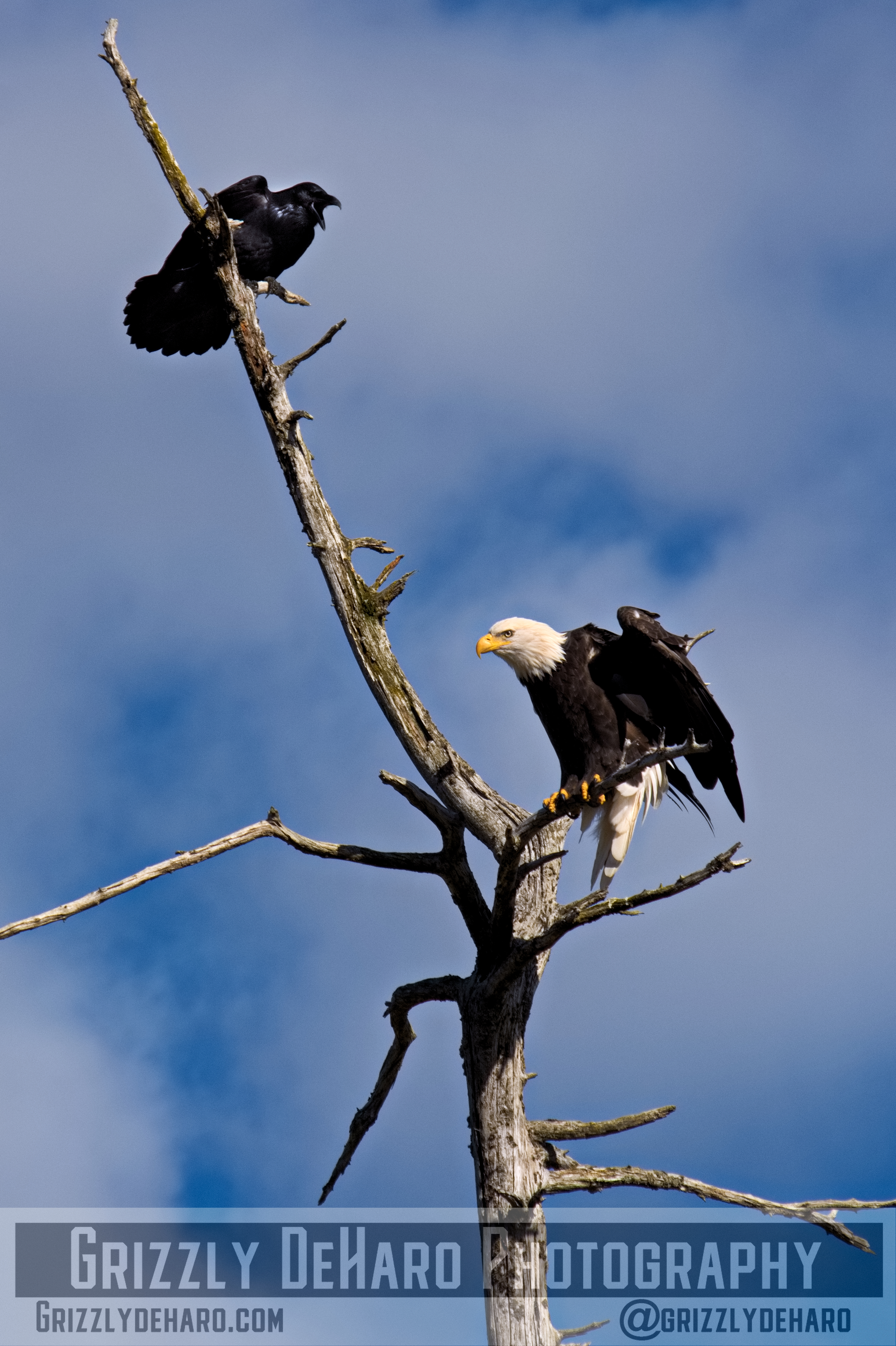 2018-09-19 Alaska 2035
